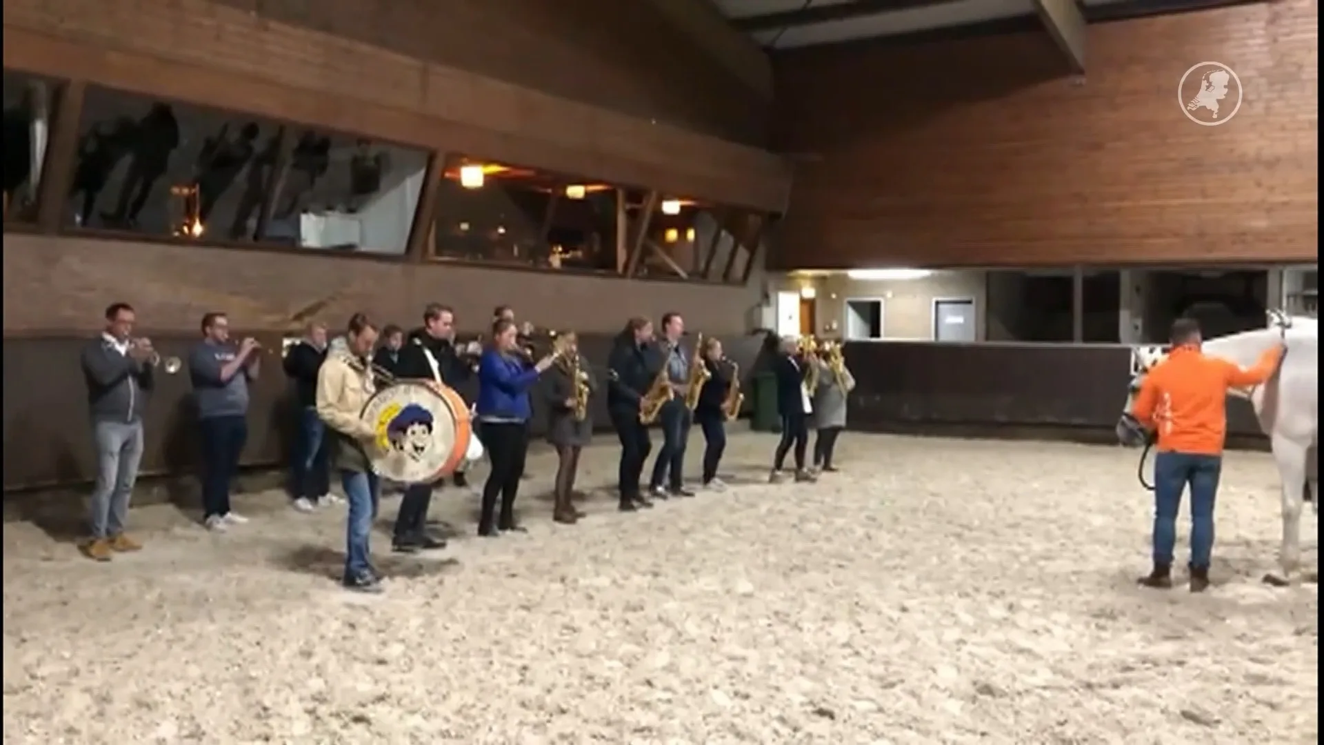 Drukte van jewelste: zo wordt de schimmel van de Sint voorbereid op de intocht