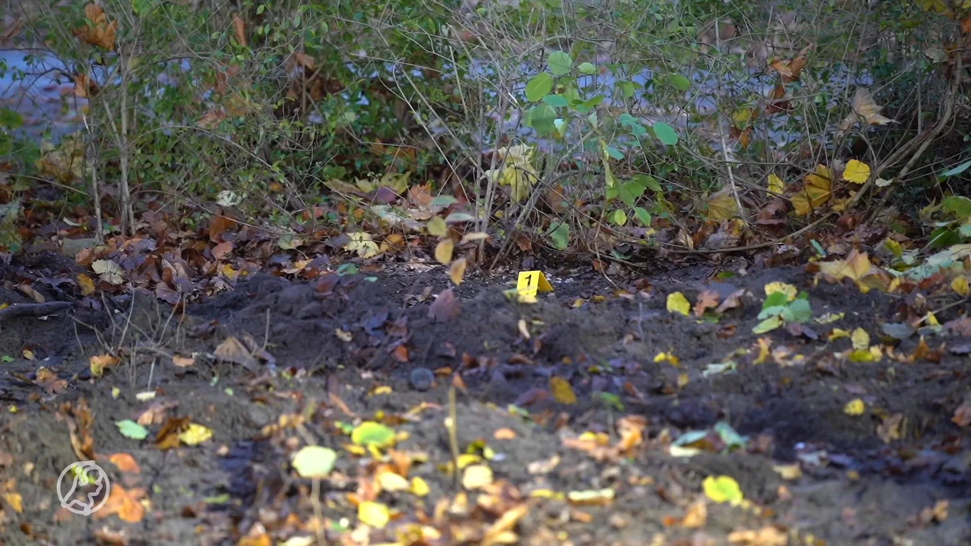 Schedel gevonden in Rotterdam, politie start onderzoek