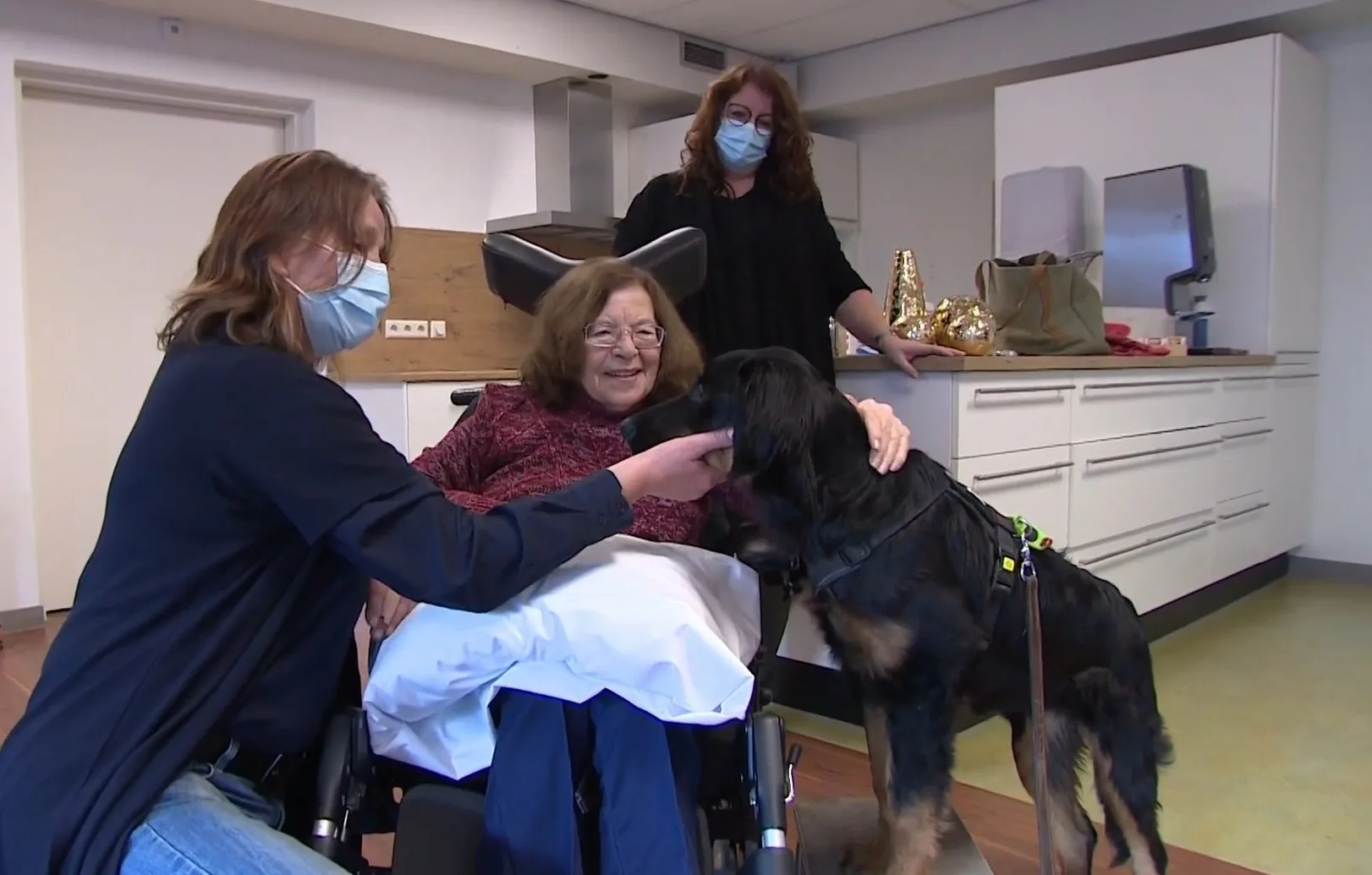 Angelika lijkt te moeten stoppen met haar hondentherapie: 'We waren geschokt'