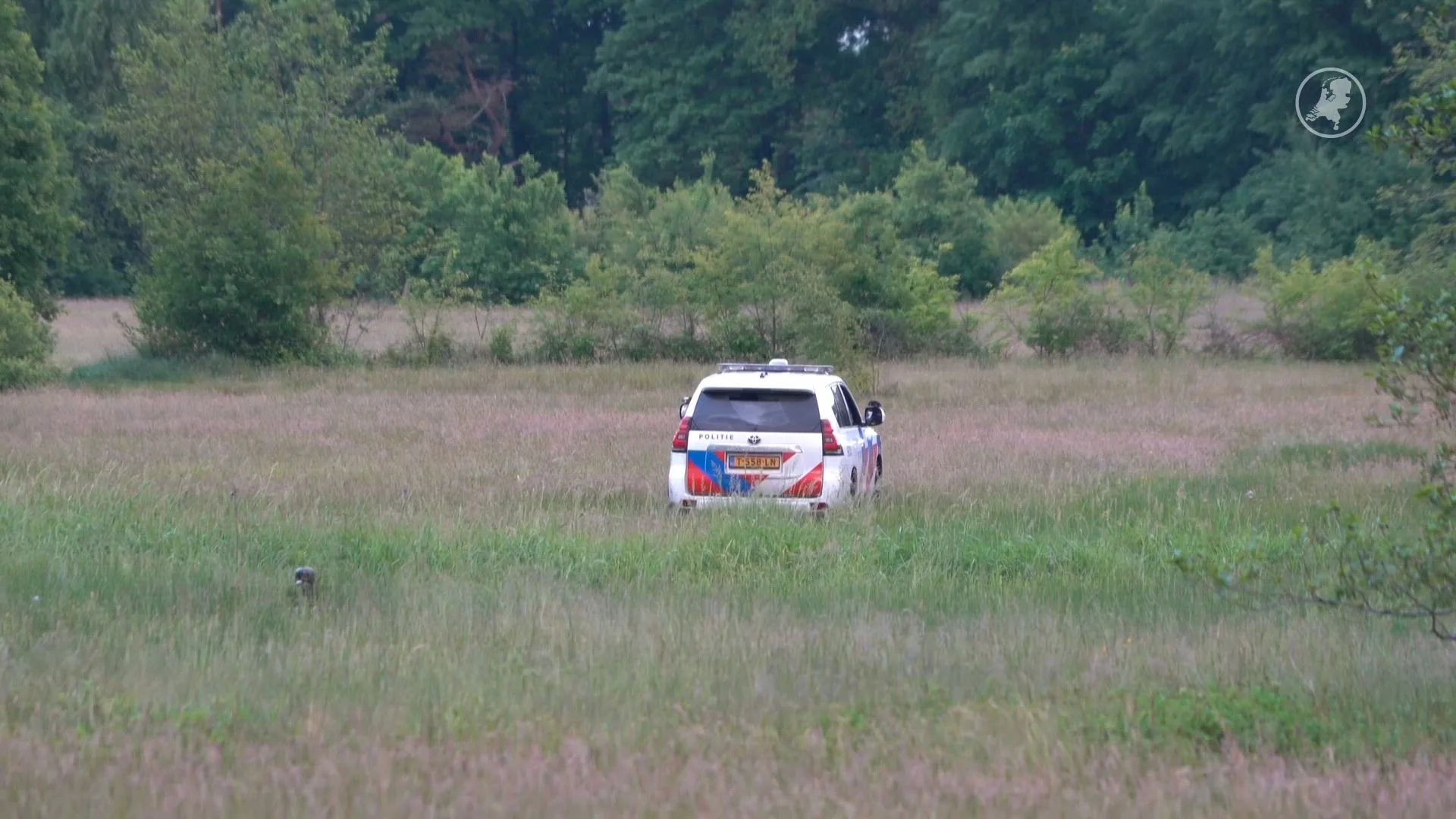 Grote zoekactie naar vermist meisje (16) met sondevoeding in Tynaarlo