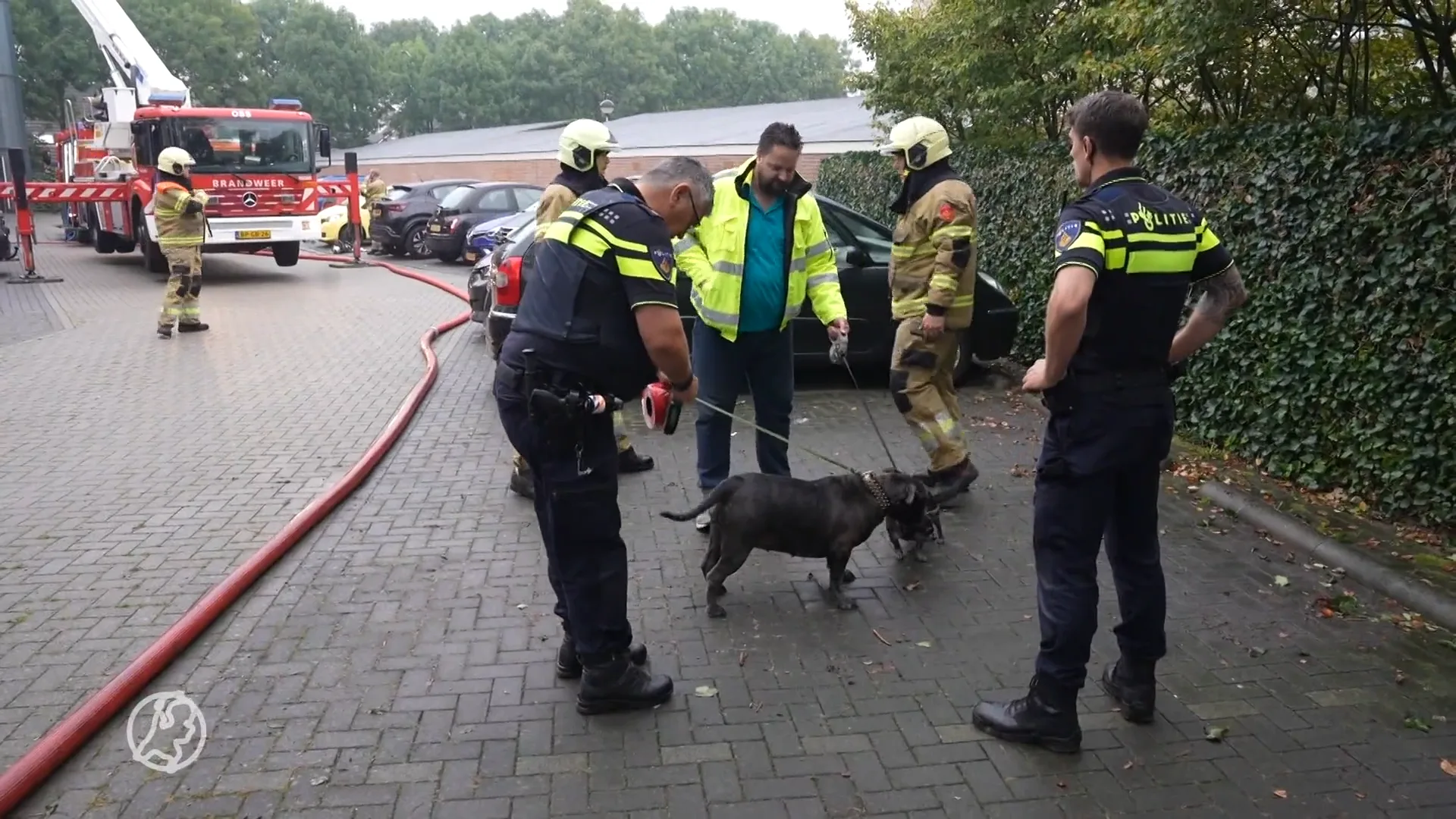 Brandweer redt twee honden uit brandende flat in Oss