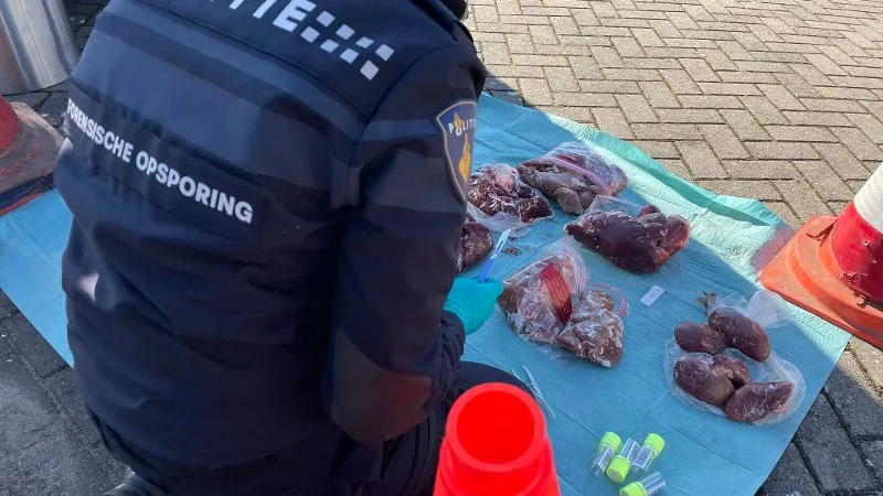 Duo uit Deventer vast voor eigenhandig slachten van meer dan twintig schapen