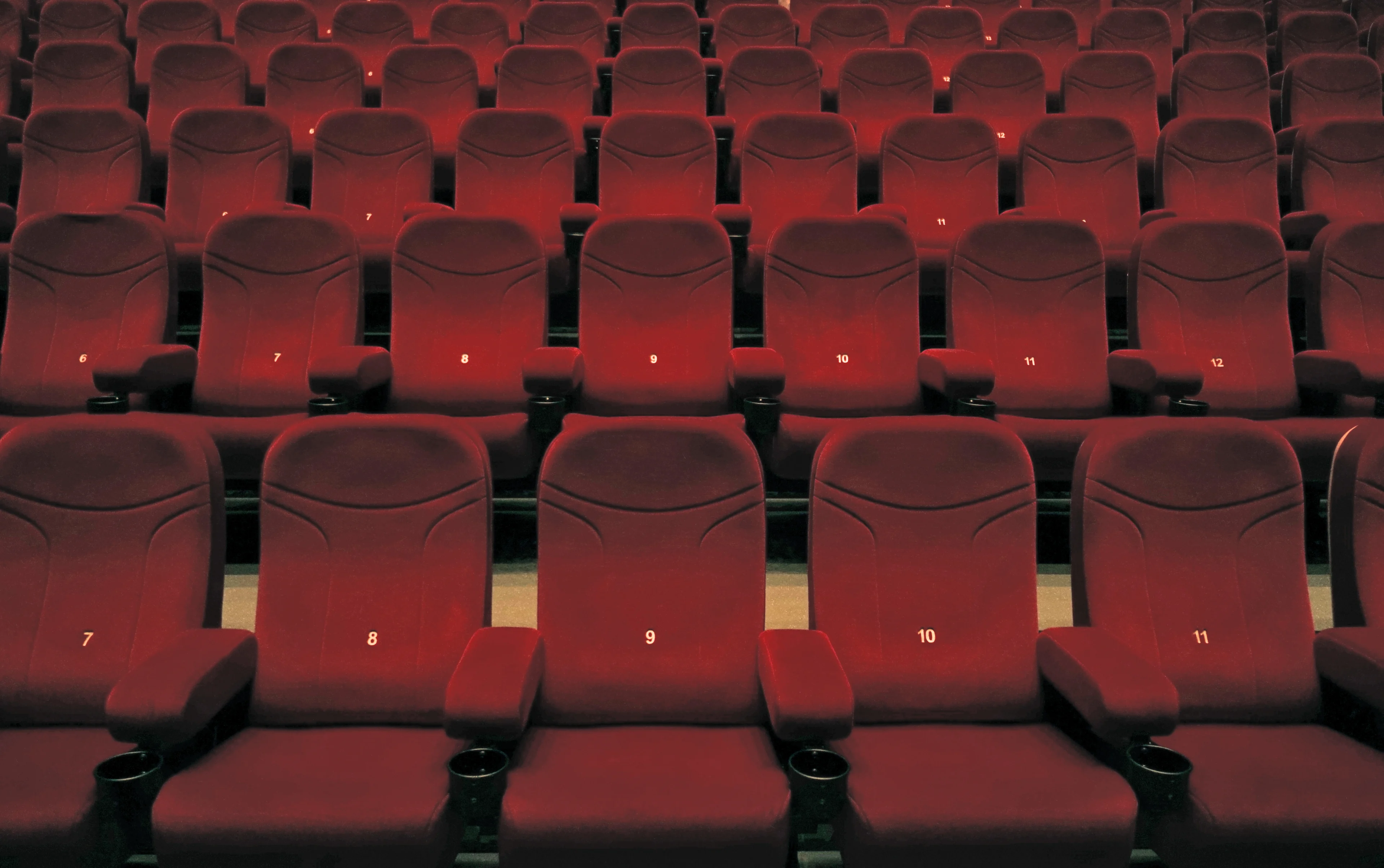 Tijdens CatVideoFest kun je ongegeneerd kattenfilmpjes kijken in de bioscoop