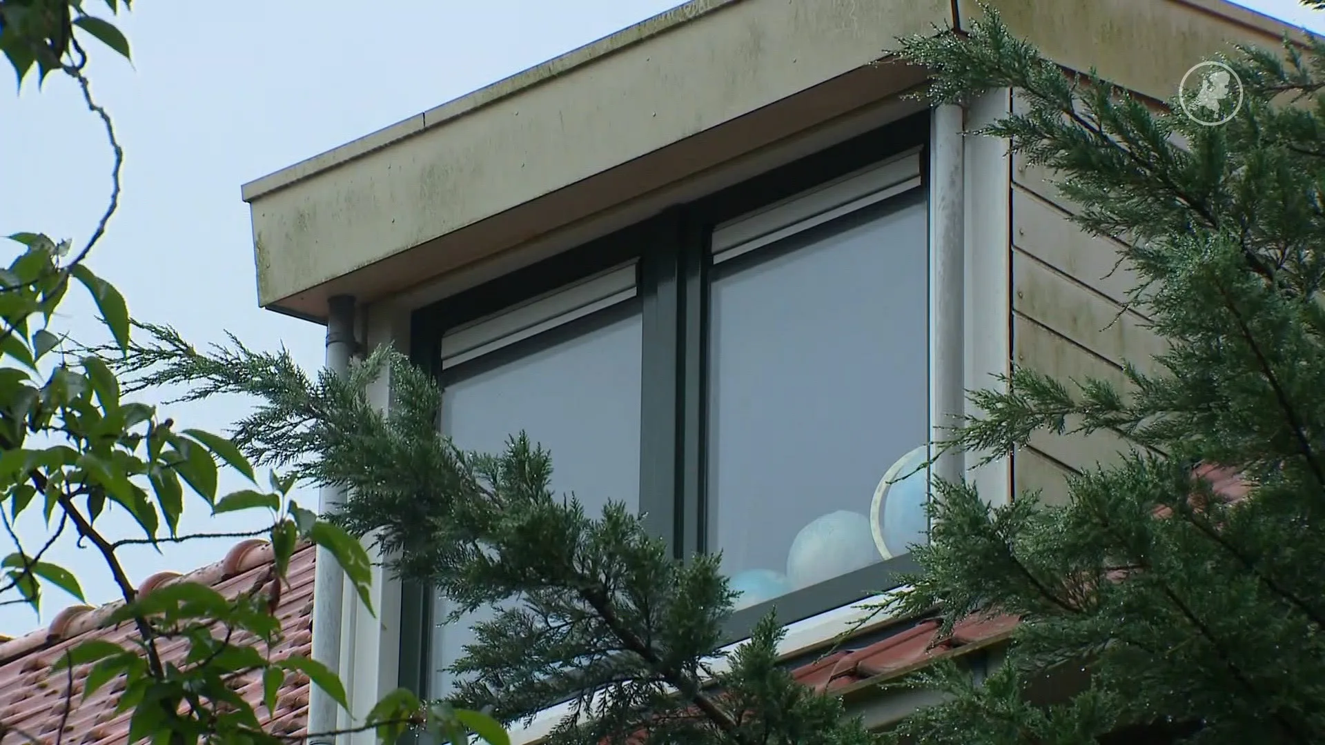 Pleegmeisje uit Vlaardingen 'toont veerkracht' ondanks blijvend letsel