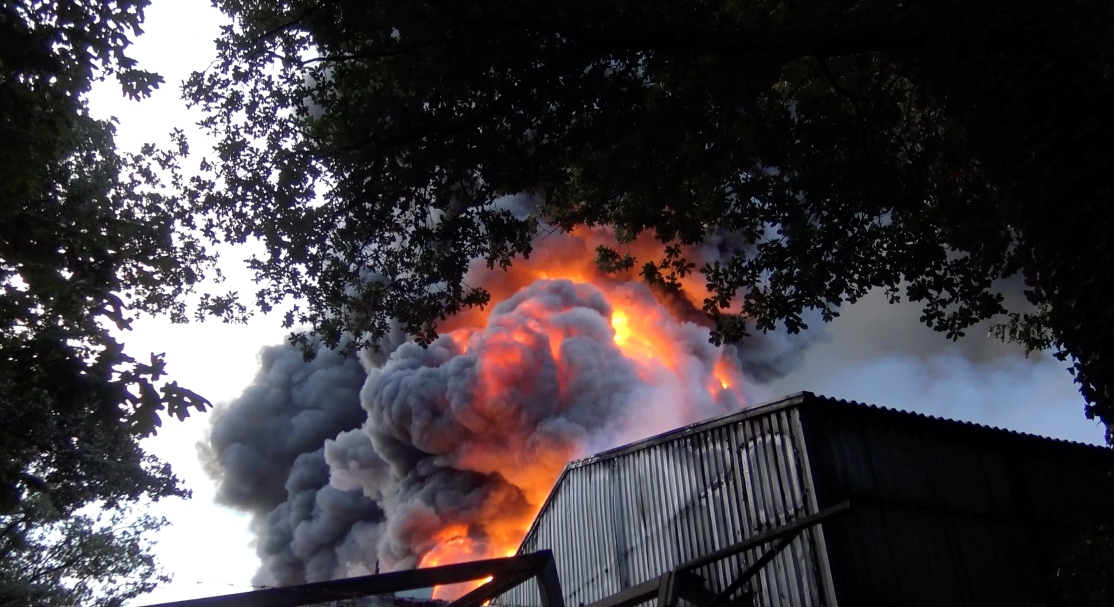 50.000 kippen omgekomen bij grote brand in kippenhouderij Heibloem