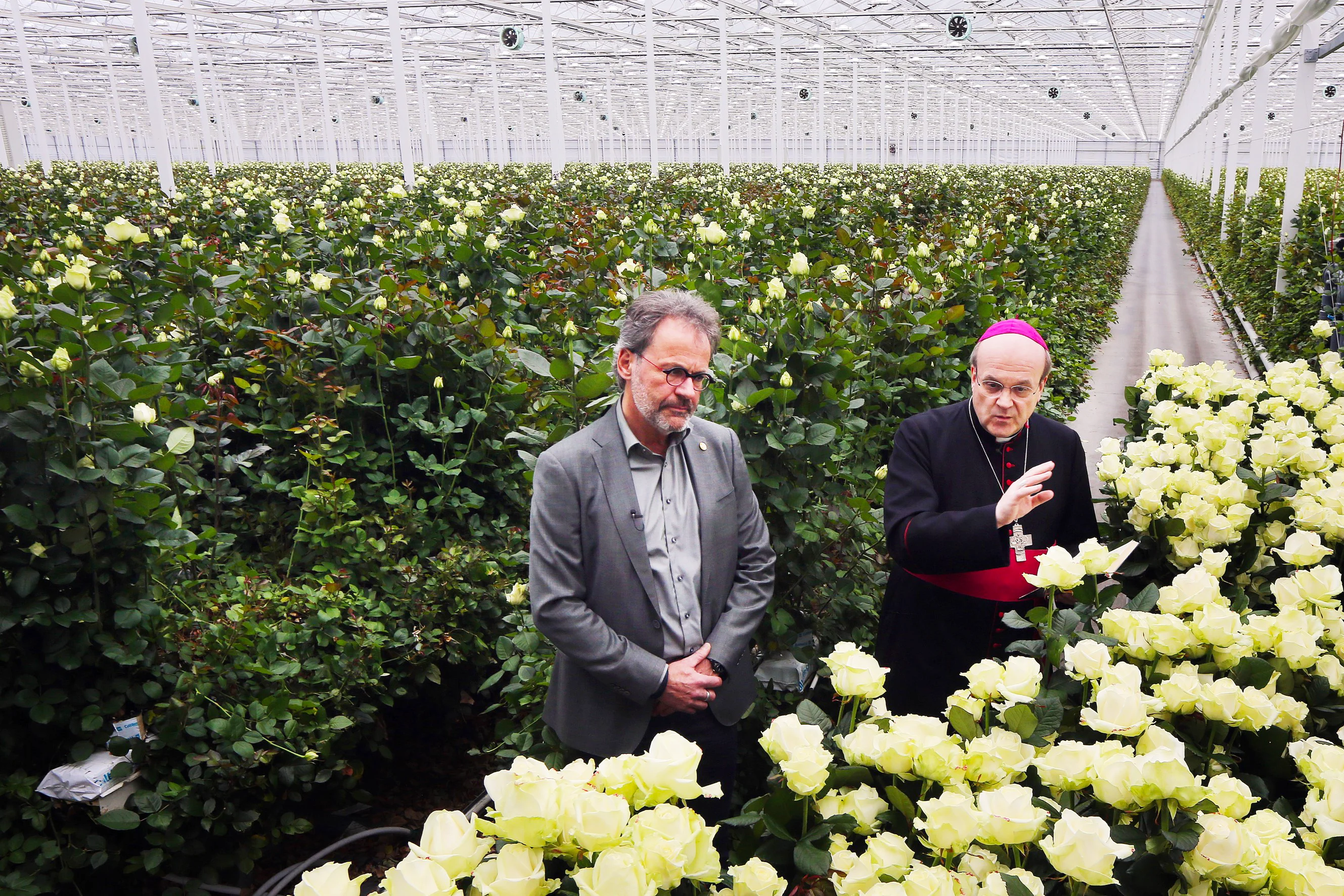 Nooit meer 'Bedankt voor die bloemen': na 35 jaar stopt Paul gedwongen met bloemenzee Sint-Pietersplein