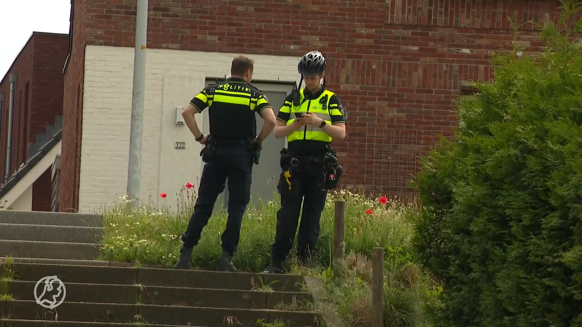 Mogelijk zedenmisdrijf met jong meisje in Zwolle zet buurt op scherp: 'Dit had ik hier niet verwacht'