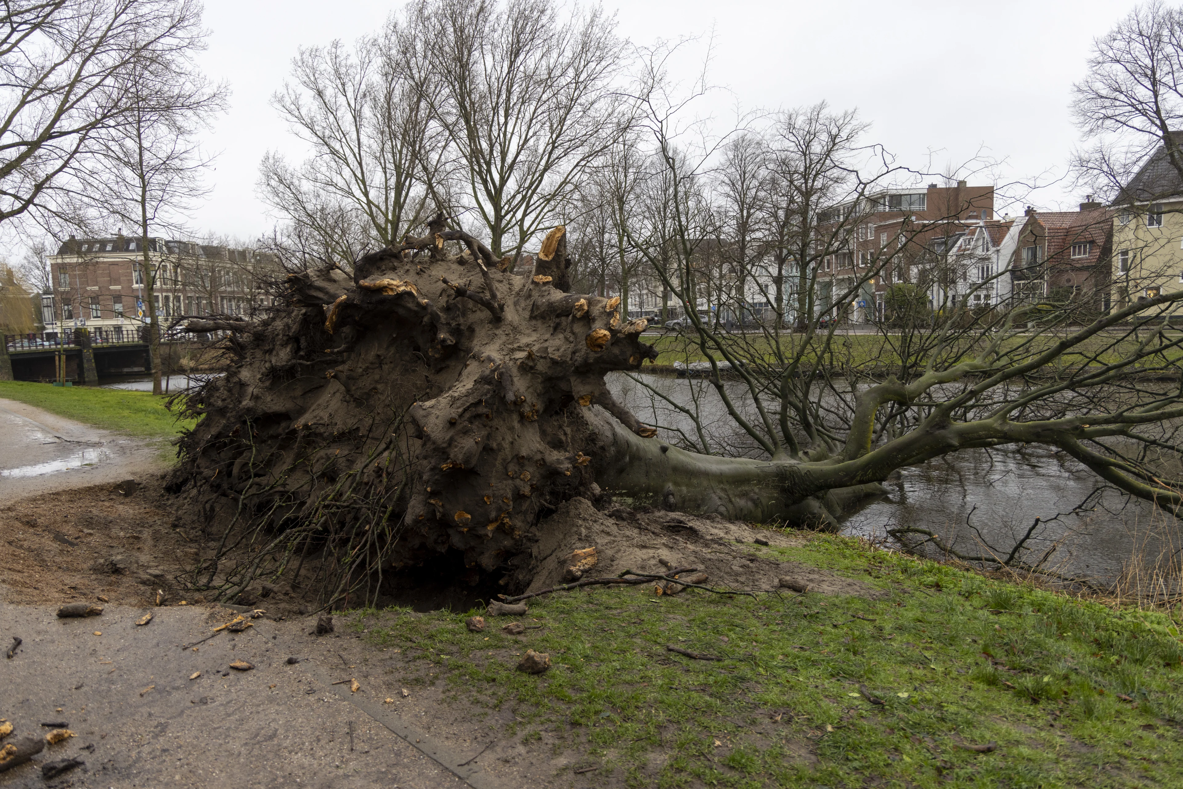 Al 6 dagen op rij storm in Nederland: een record voor februari
