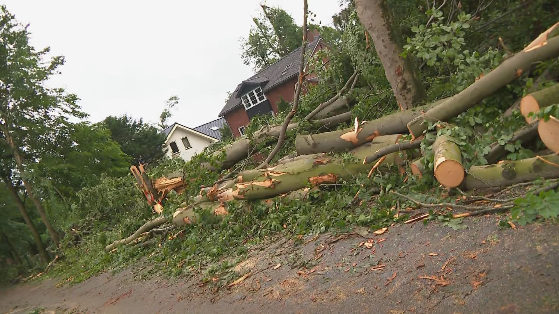Meldingen stormschade na noodweer bij Interpolis bijna verdubbeld