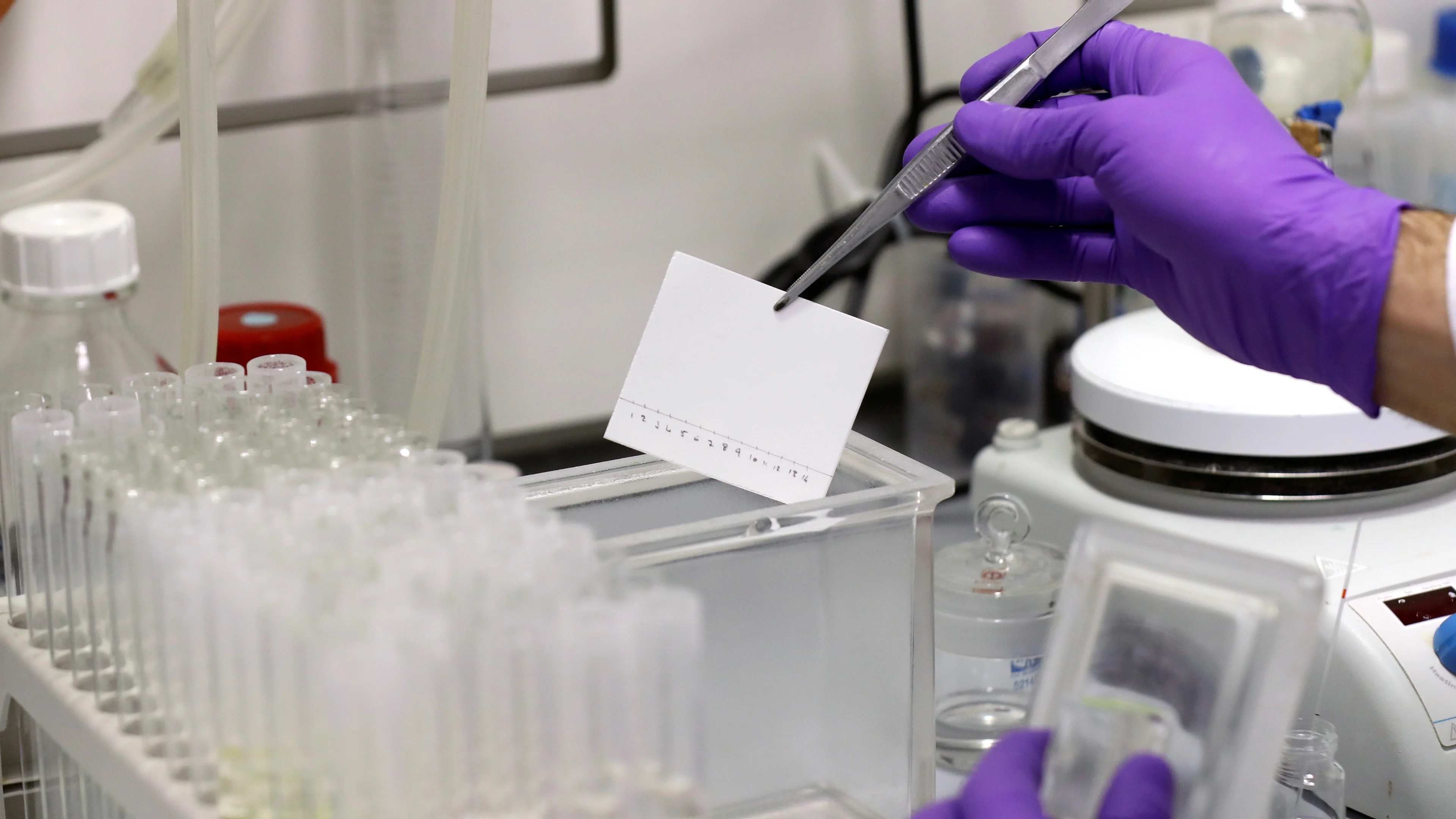 Artsen hoopvol na eerste tests nieuw coronamedicijn: 99 procent minder virusdeeltjes