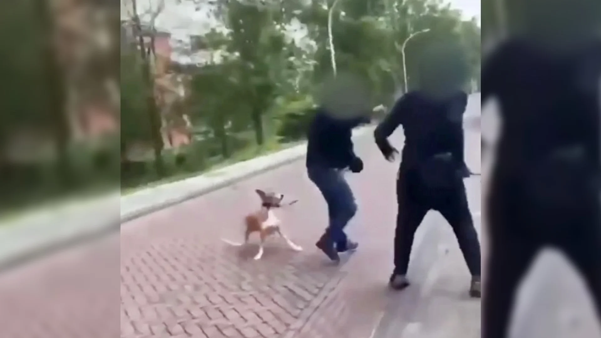 Dit is waarom jongeren filmen hoe zij en anderen iemand afranselen