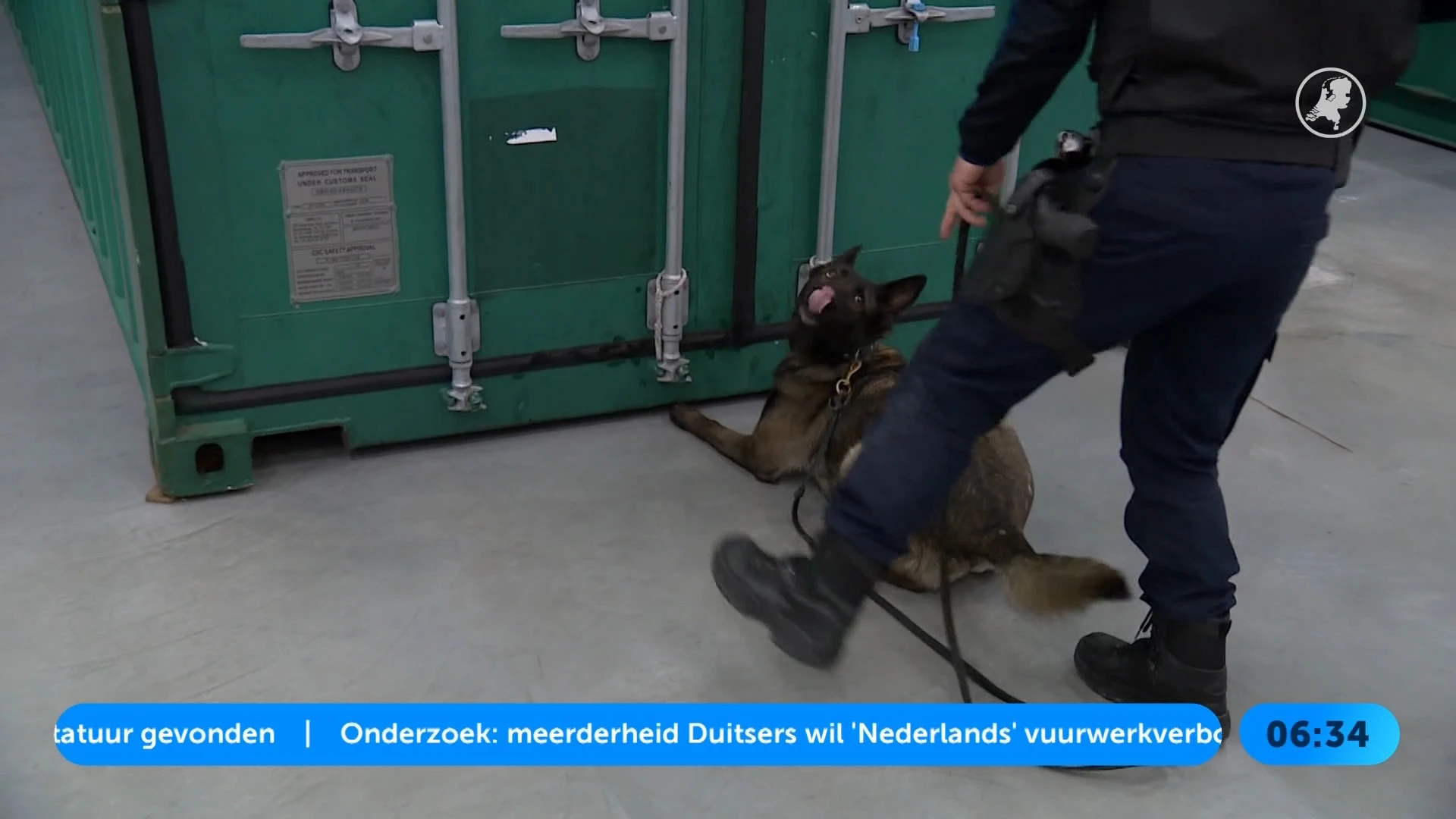 Recordaantal uithalers opgepakt in Antwerpen, helft uit Nederland