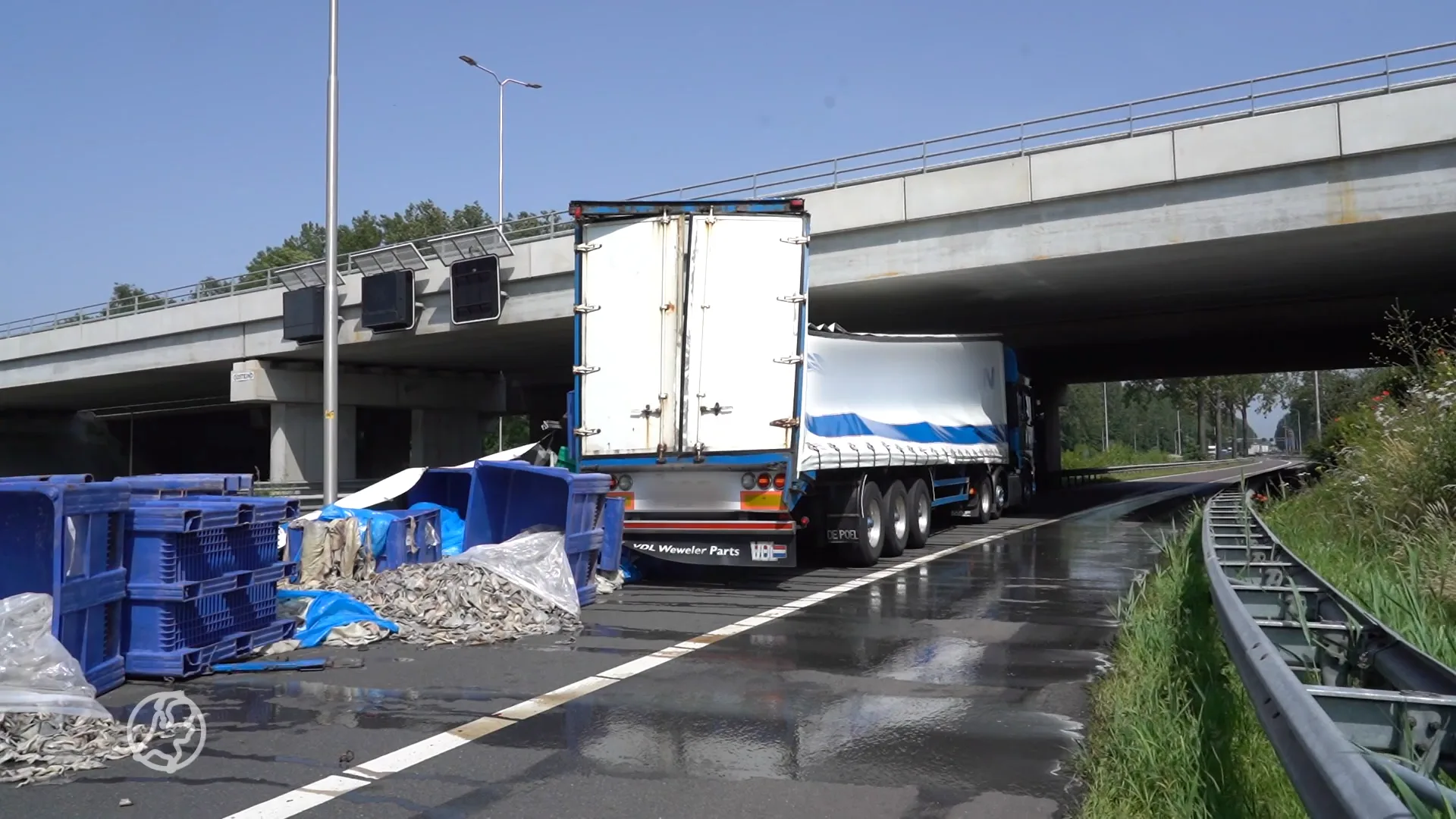 Snelweg A27 bezaaid met slachtafval: 'Flinke stankoverlast'