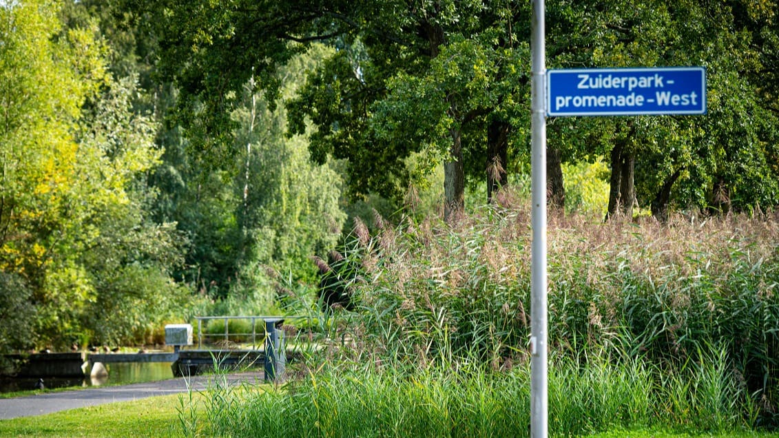 Meisje slachtoffer van zedenmisdrijf in bosjes Zuiderpark Rotterdam