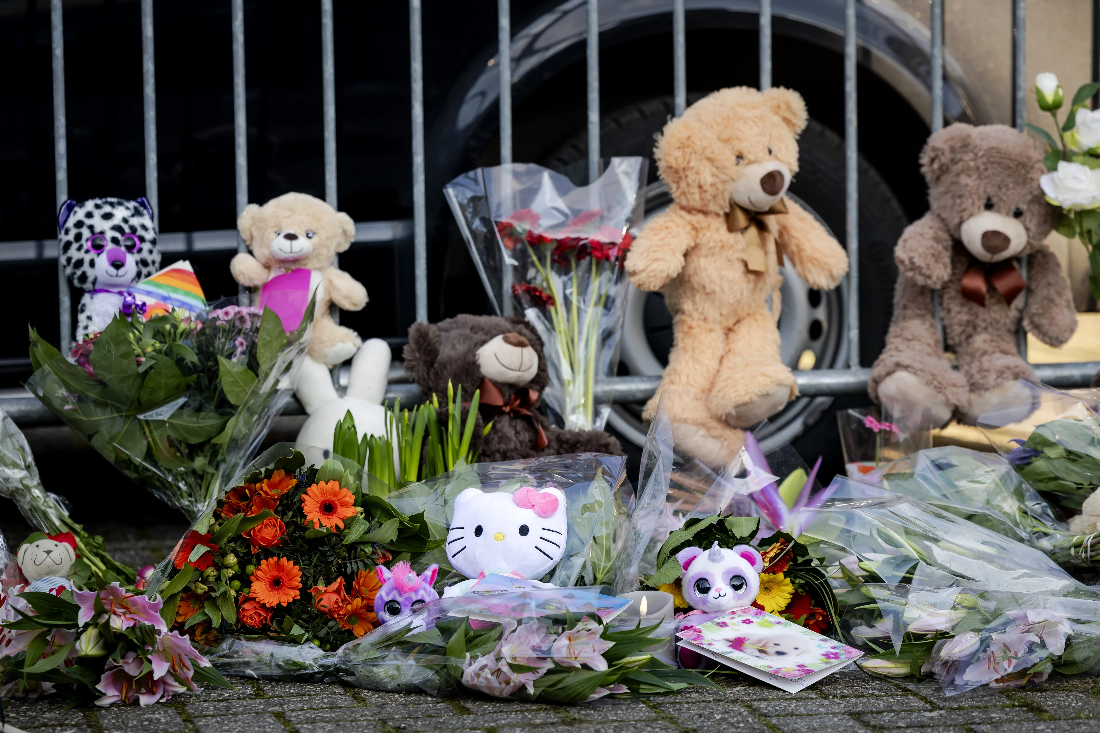 Politiechef: 'Zorg voor ernstig verwarde mensen moet structureel beter'