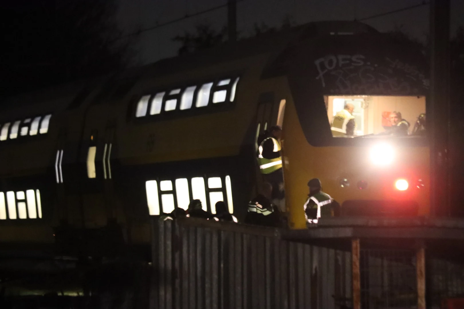 Tientallen reizigers vast in trein na aanrijding met hert in Lisse