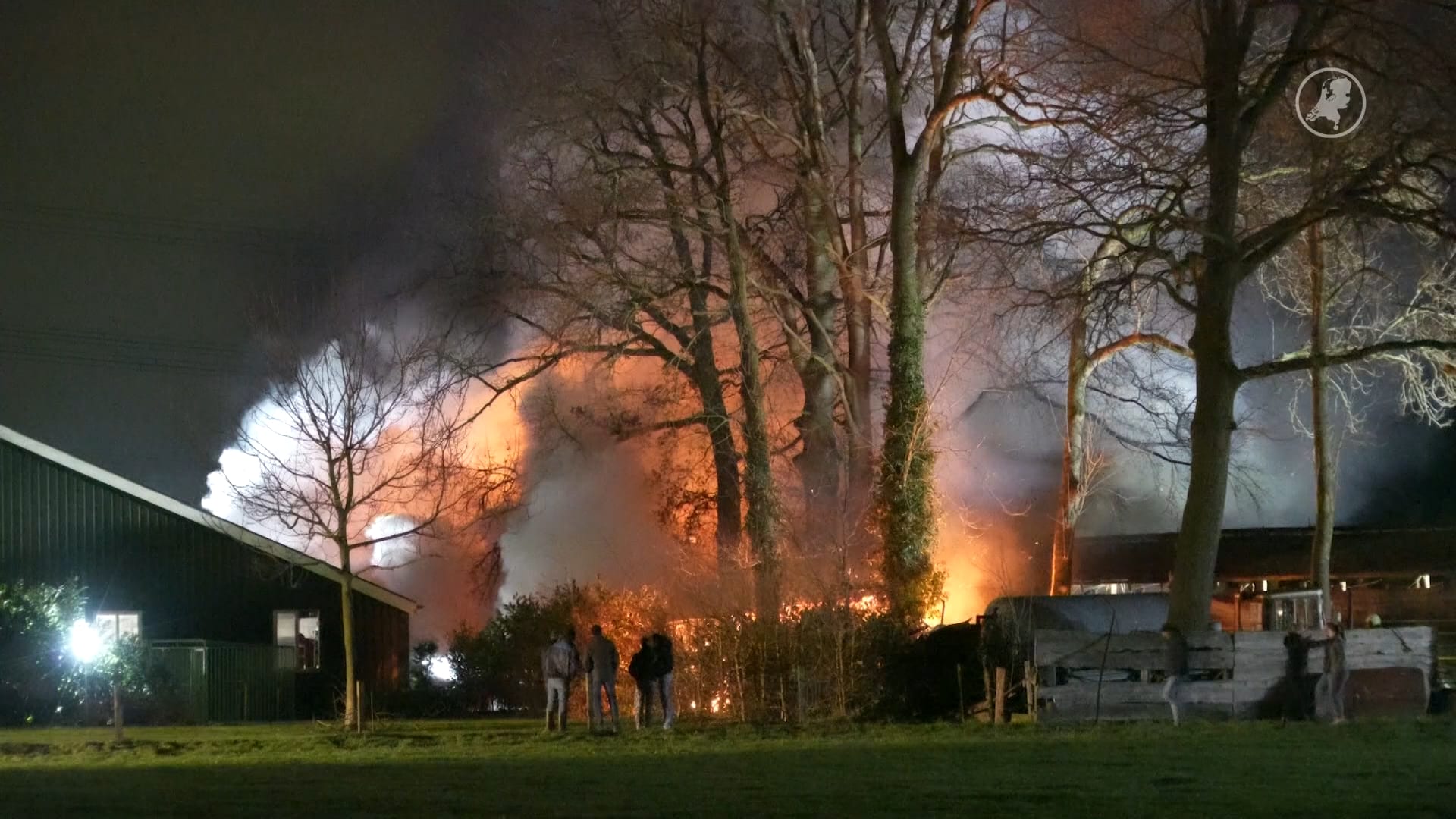 Grote brand bij veehouder Dalfsen: tientallen koeien gered