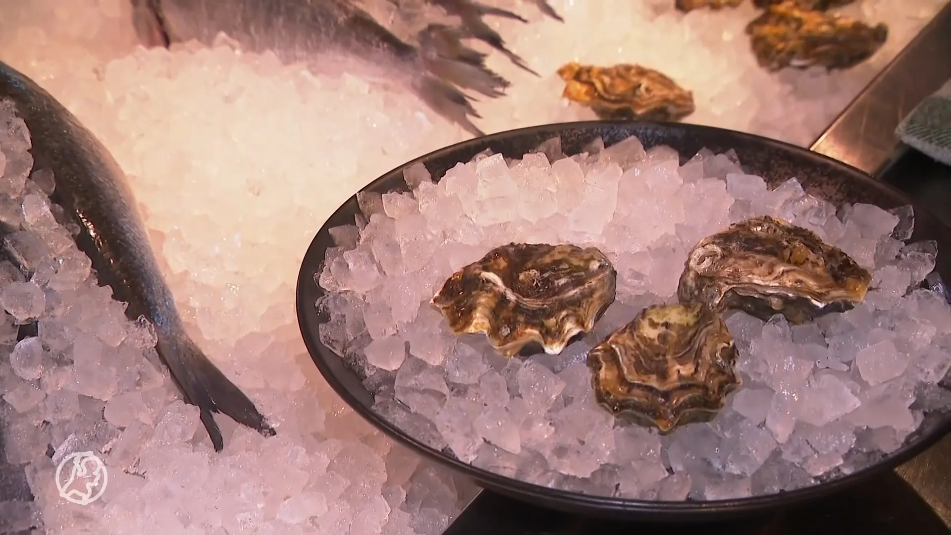 Eet- en knippiraat slaat toe in Alkmaar: duur stuk vlees en kappersbeurt zonder te betalen