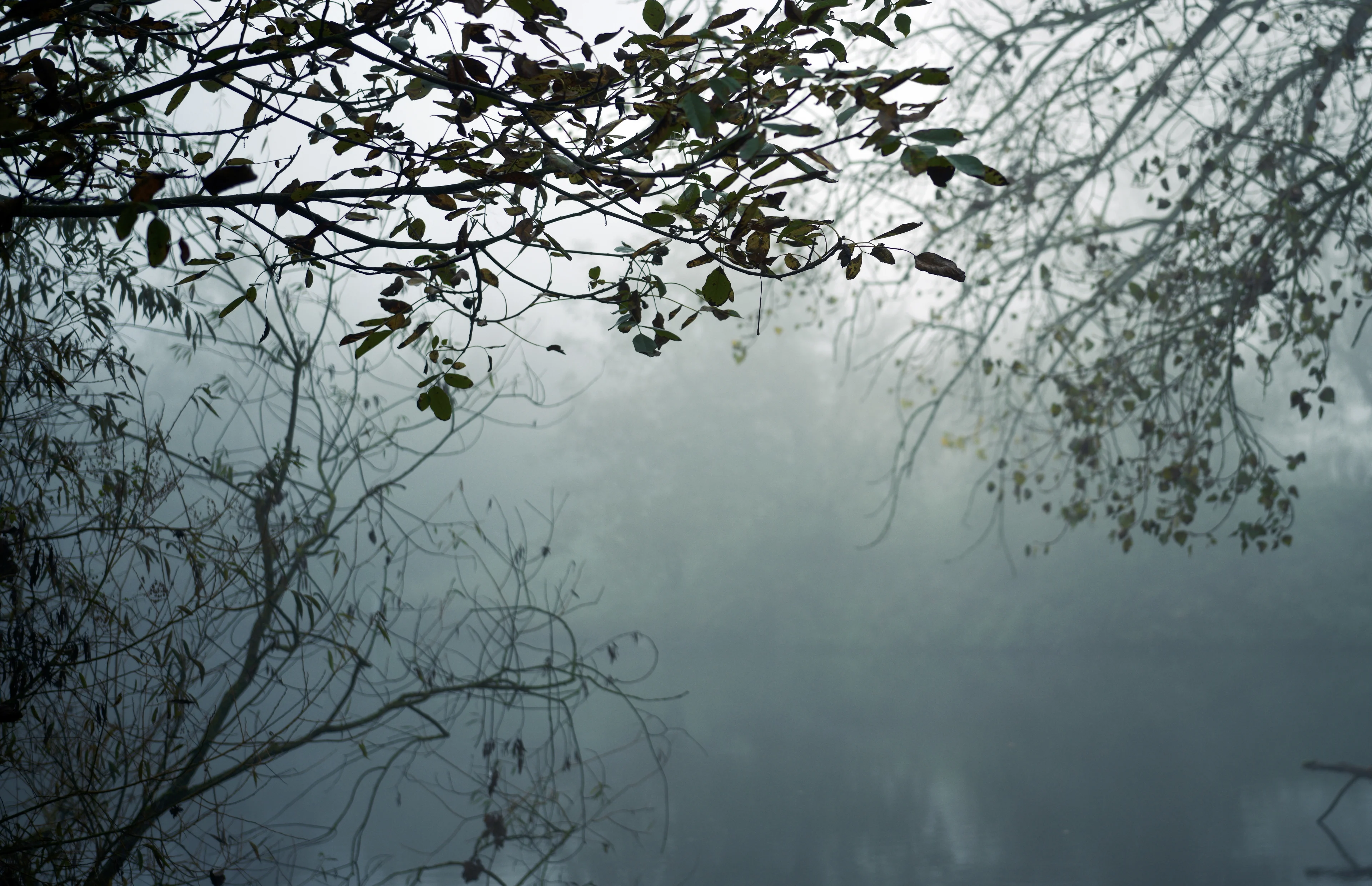 Lange tijd code geel om mist maar daarna... grijs weer