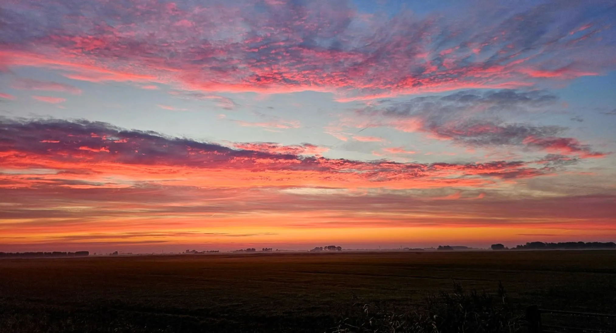 Eerste weekend van november verloopt zacht, maar wel wisselvallig