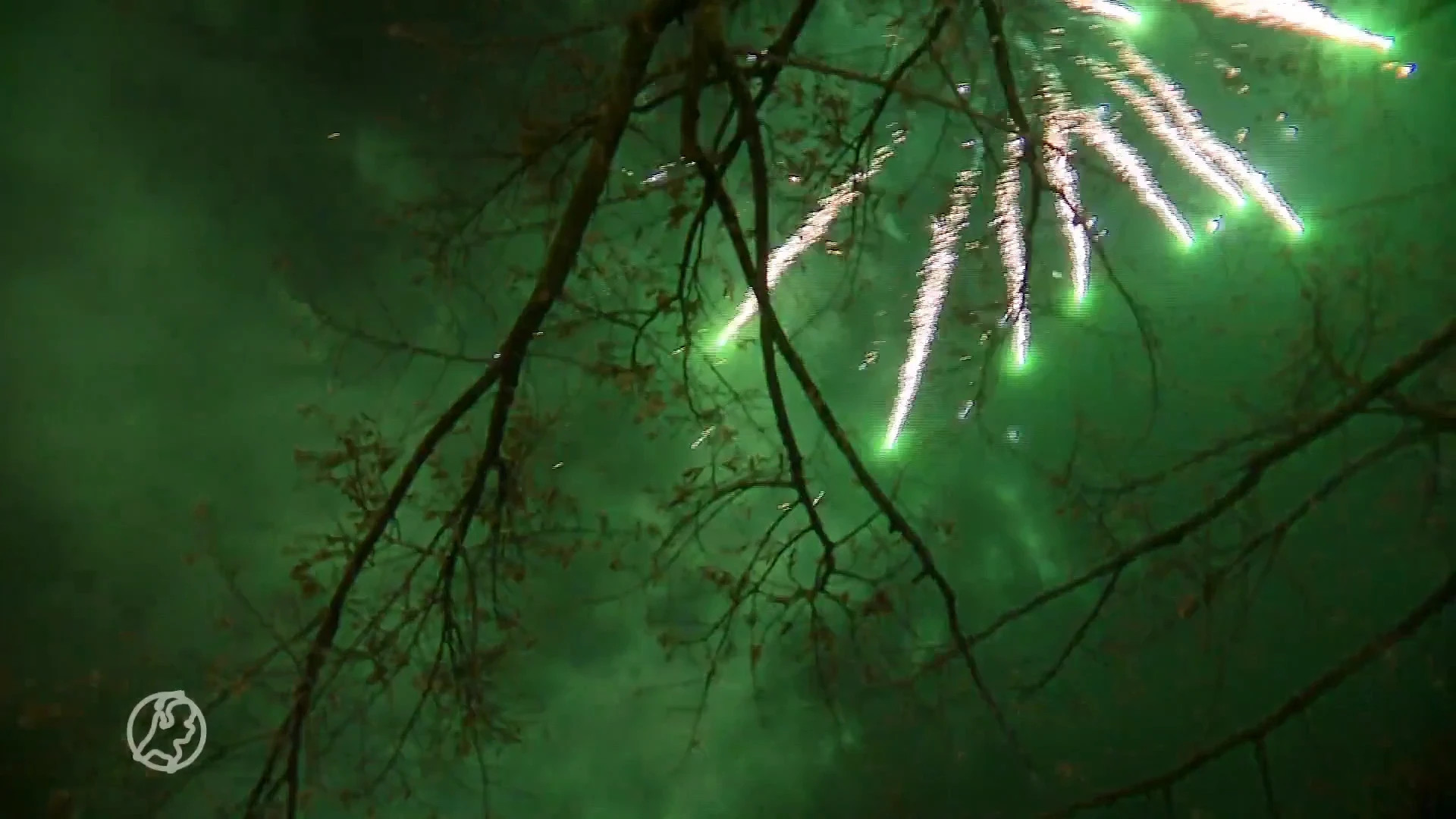 Volgende stad aan de beurt: algeheel vuurwerkverbod in Zwolle