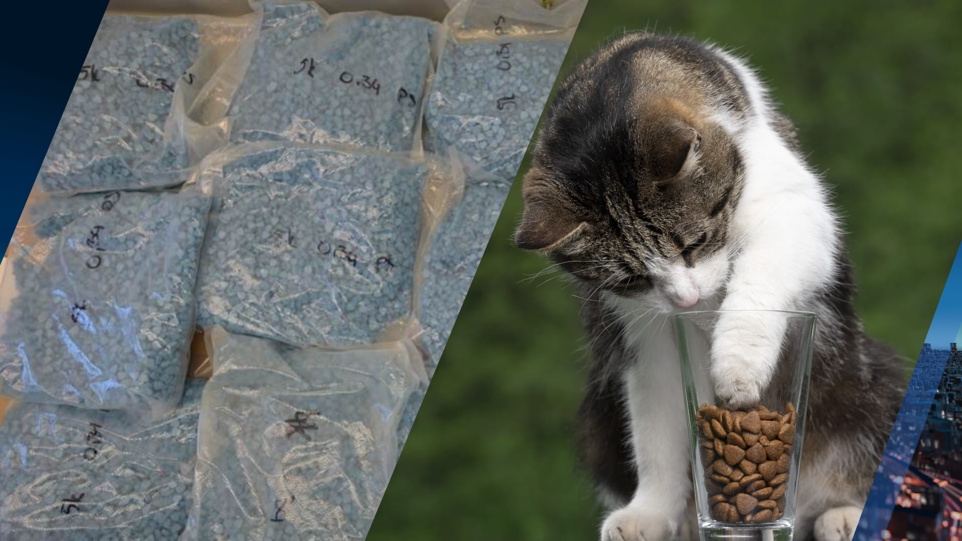 Man (52) opgepakt om versturen xtc in lading kattenvoer