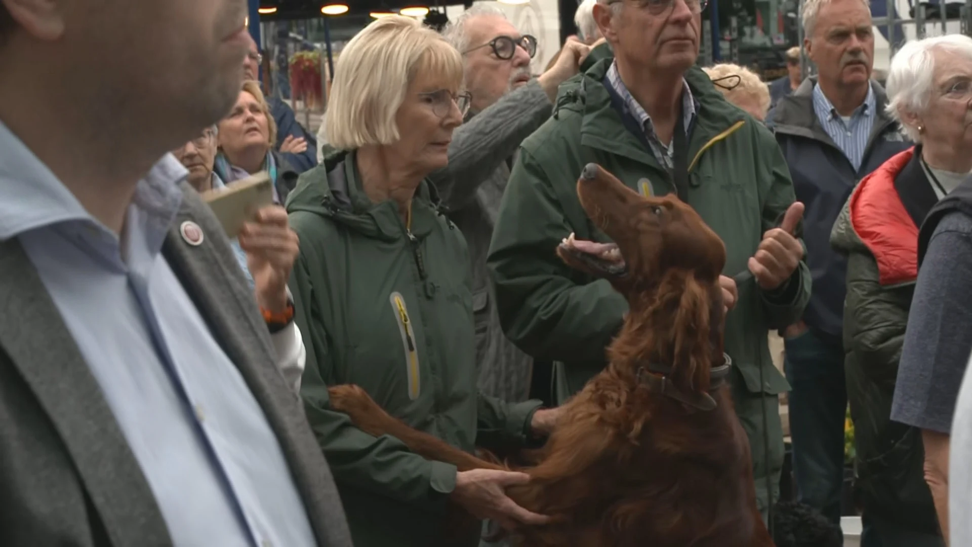 Woede groeit: baasjes in Epe eisen harde aanpak na wolvenaanvallen