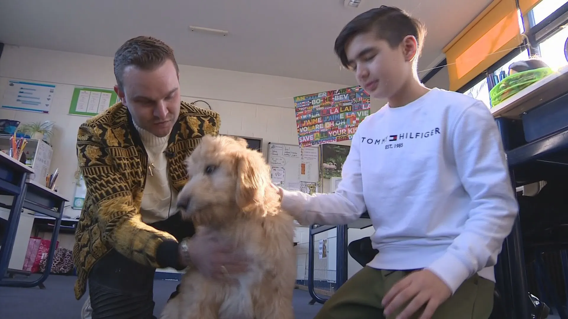 Schoolhonden steeds vaker in de klas, maar is de begeleiding wel goed genoeg?