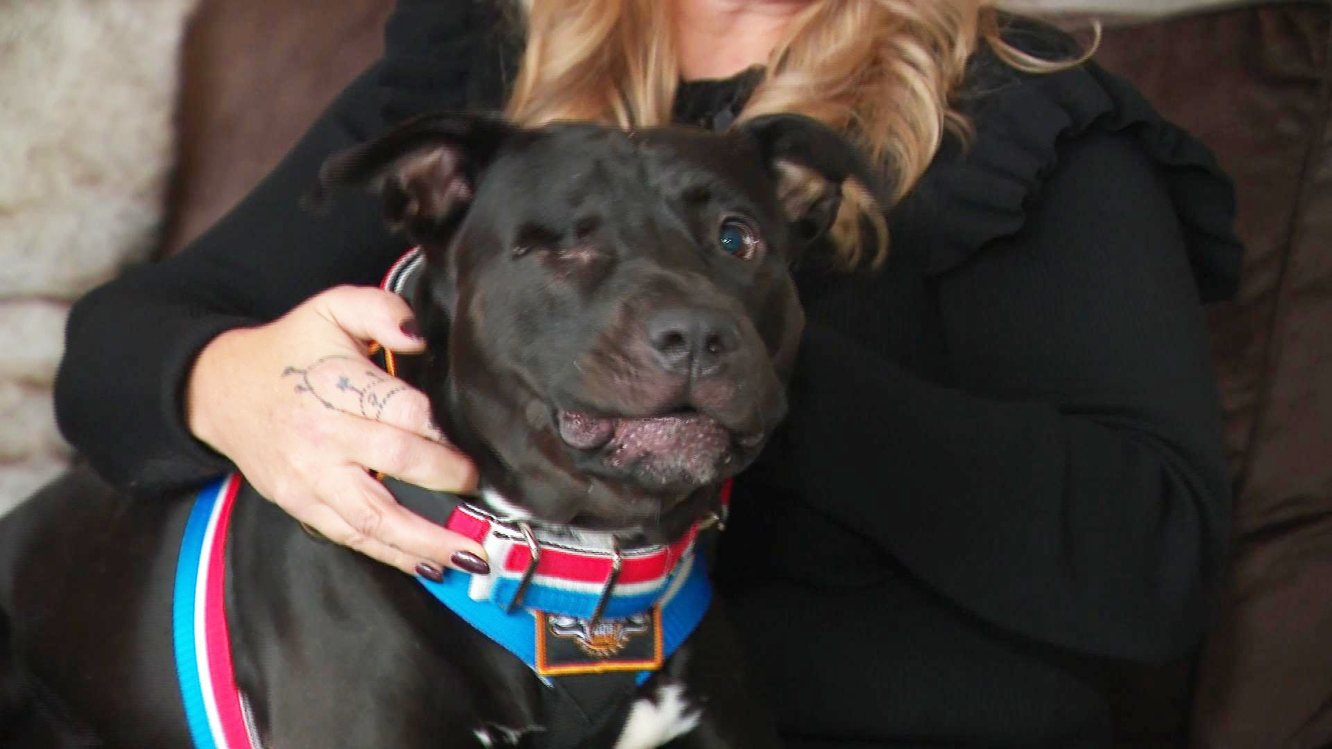 Agenten worden toch niet vervolgd voor taseren van hond Tommy