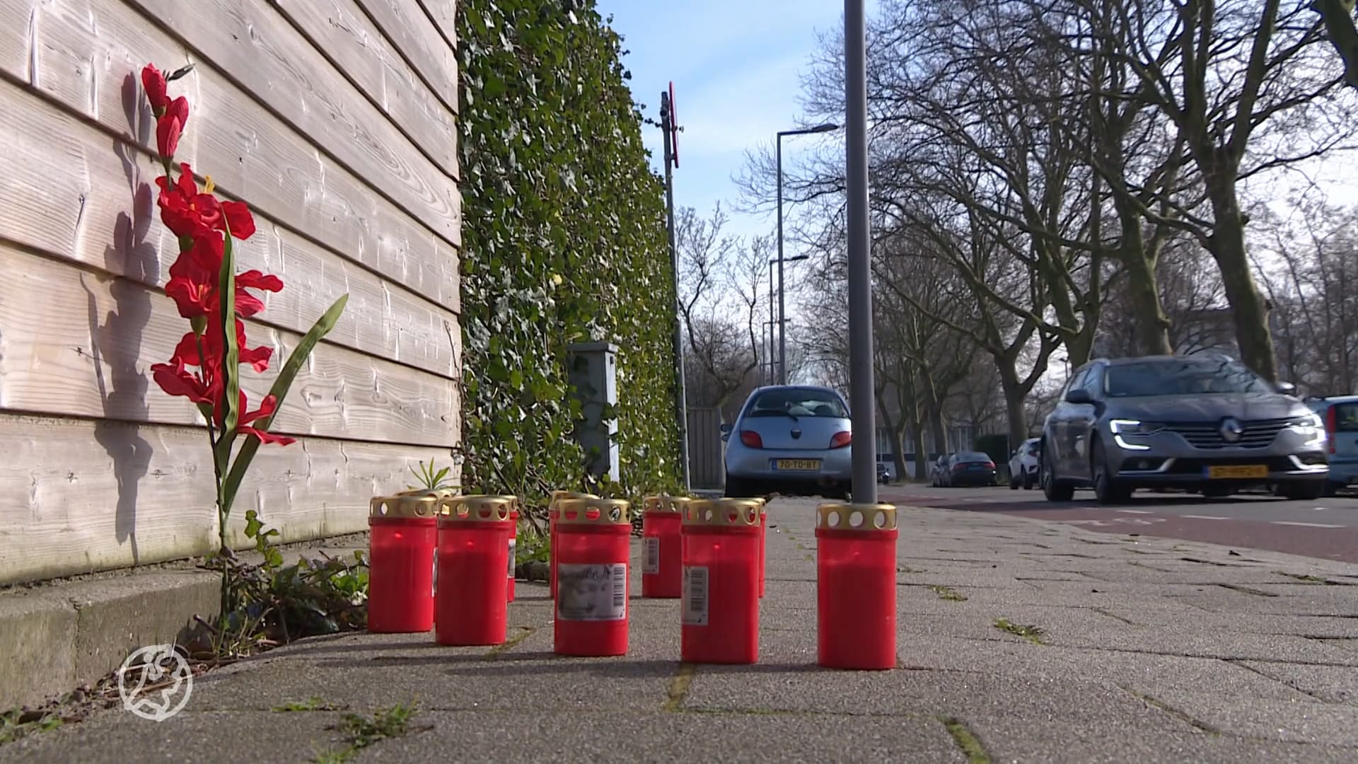 Hogere strafeis in hoger beroep voor doden pakketbezorger Hoogvliet