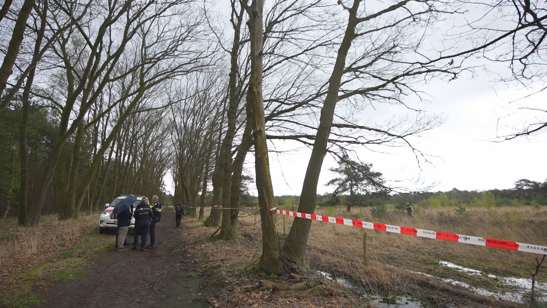 Hondjes aangetroffen bij lichaam dode vrouw in bos Elsendorp