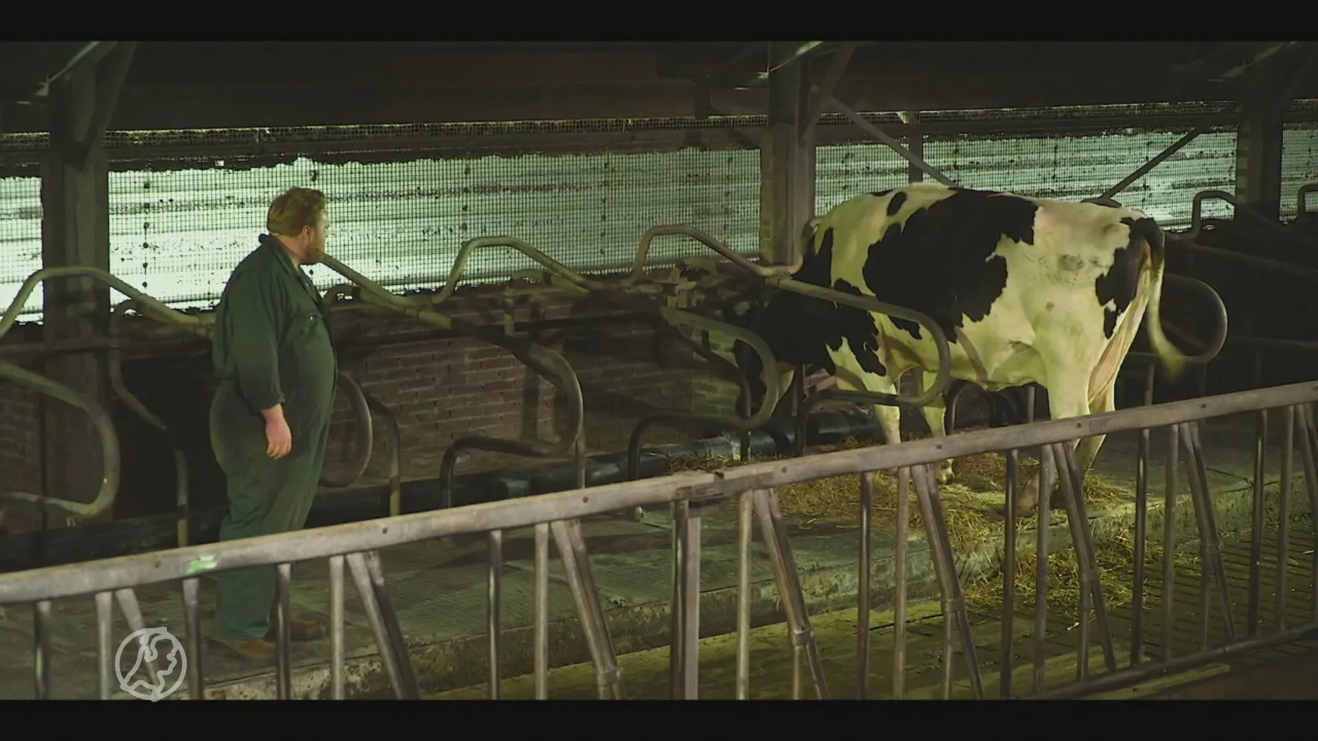 Theatergezelschap vreest einde nu al het geld naar Amsterdam gaat: 'We zijn te Drents'