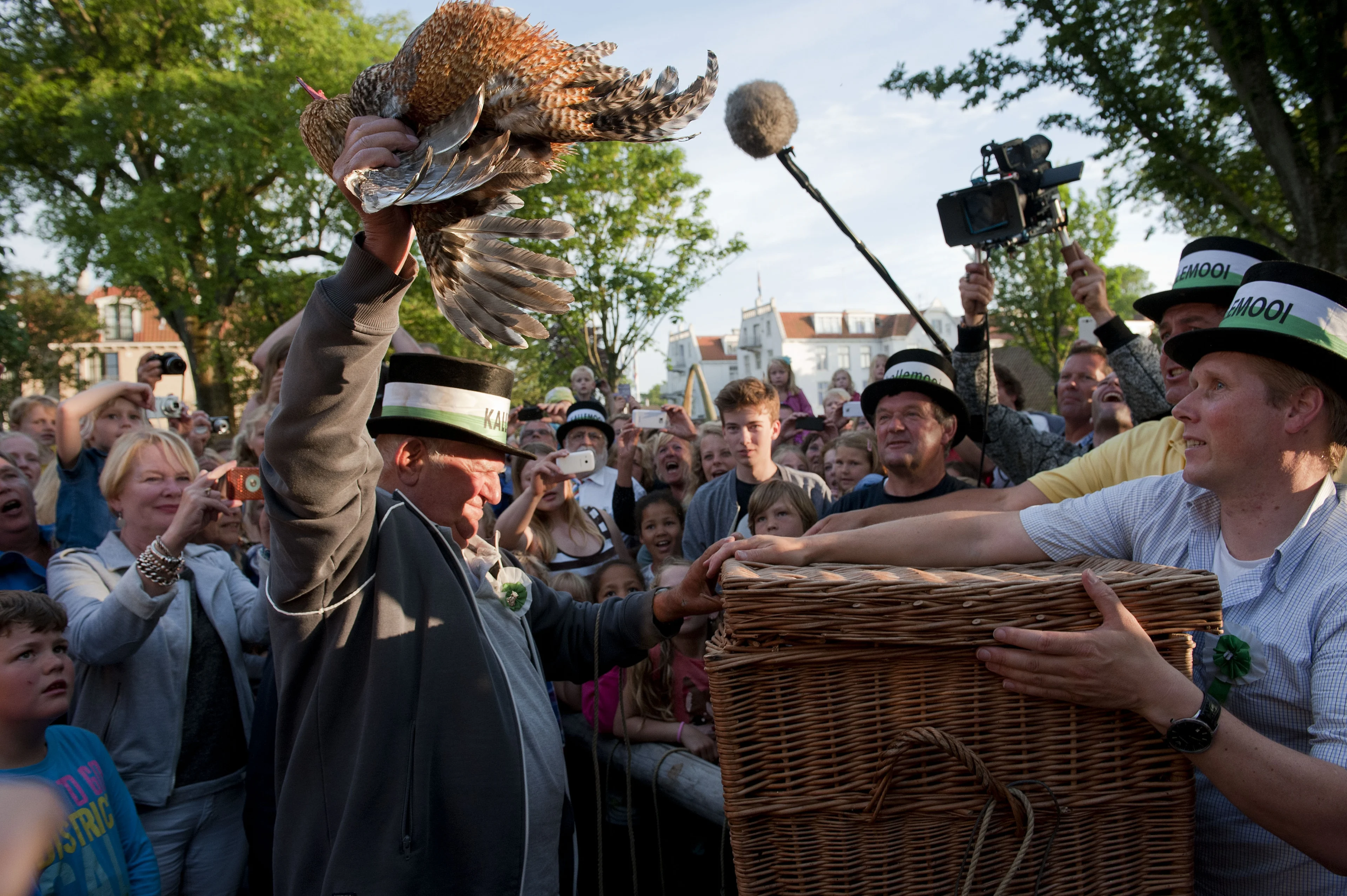 Dierenbelangenorganisaties doen aangifte om haan in mast