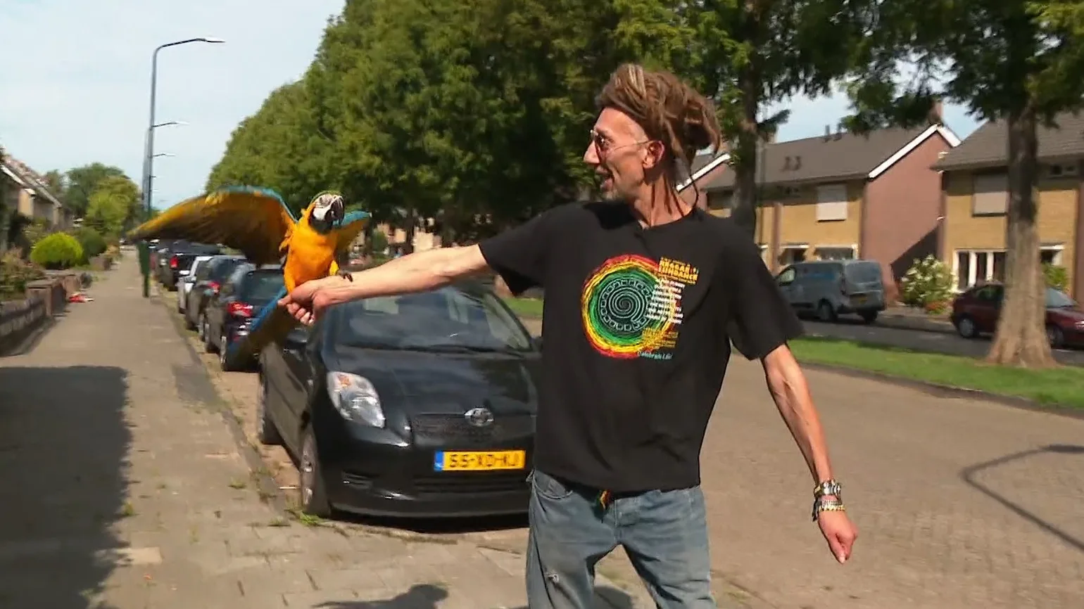 Buurtpapegaai Oro mag niet meer vliegen na klacht over 'agressief gedrag'