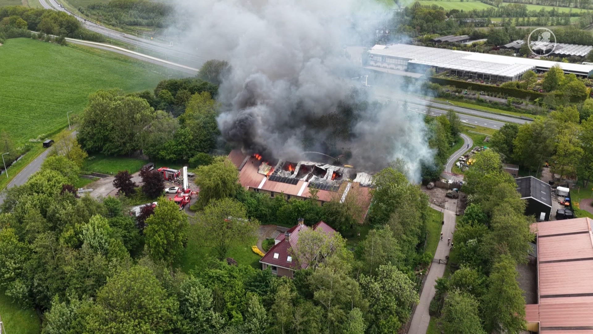 Dieren dood door brand in dierenpark Veenwouden