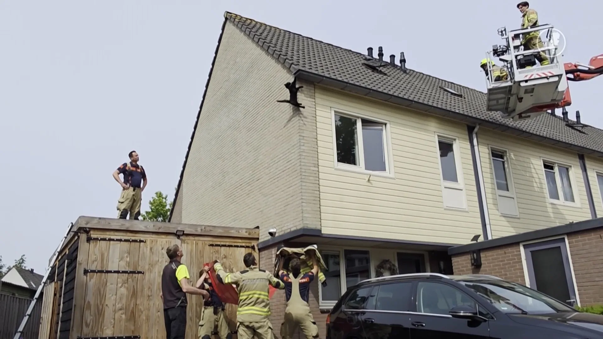 Kat springt van dak bij reddingsactie brandweer, maar valt precies goed