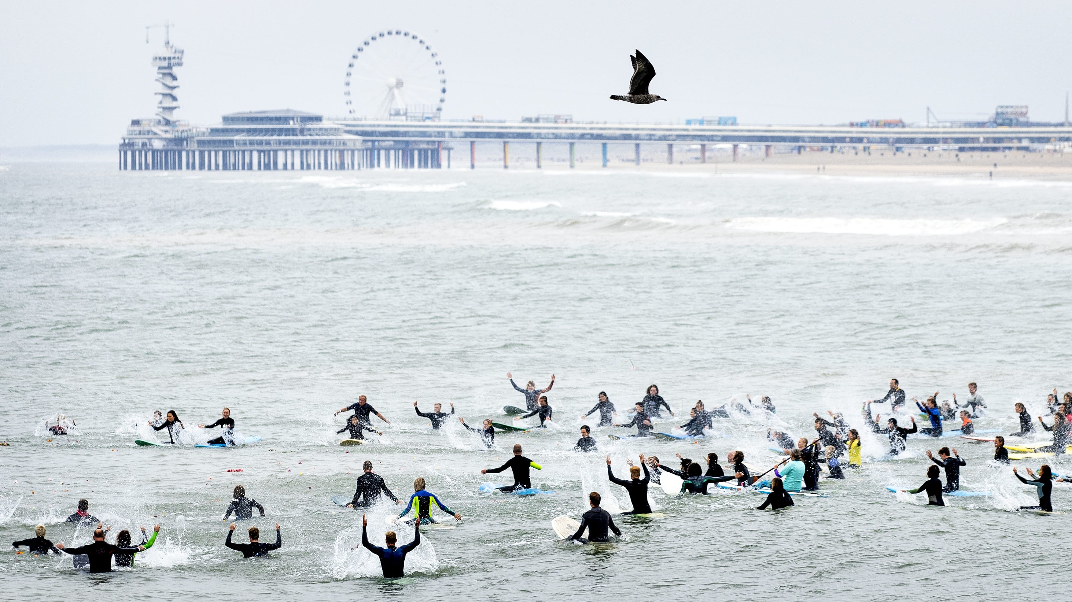 Gedenkboek voor omgekomen surfers in Scheveningen