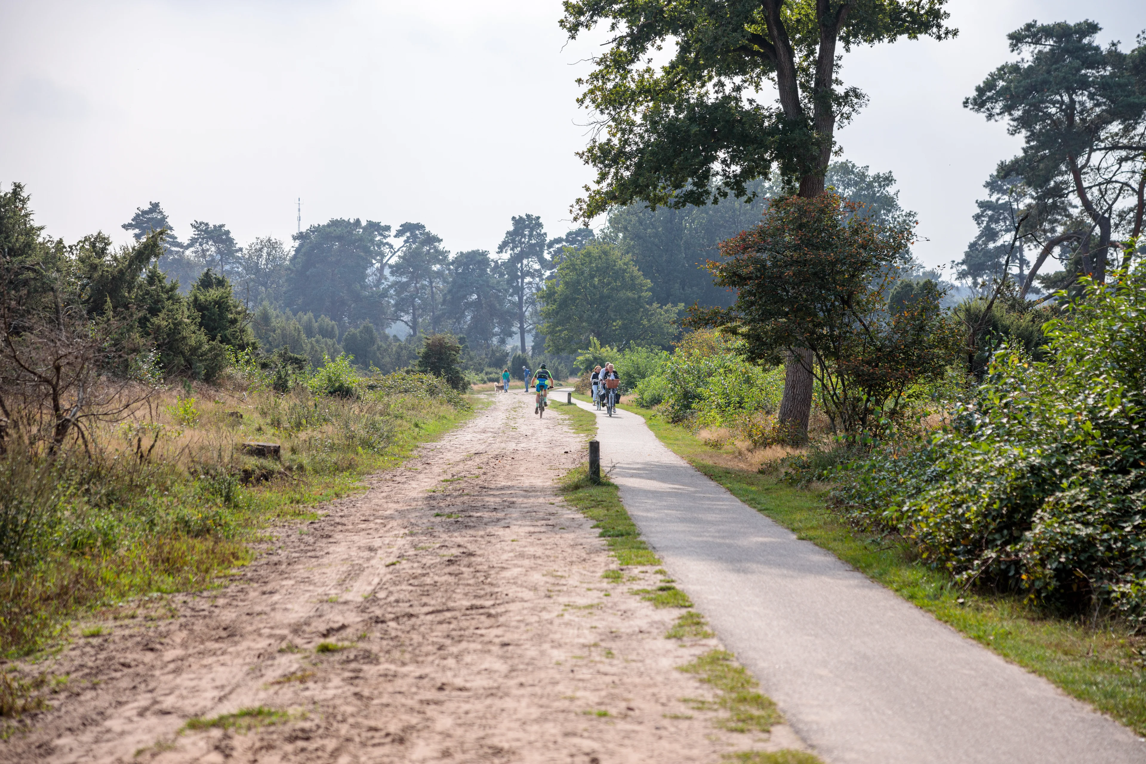 Jaarlijks internationaal kamp voor mensen die stotteren dit jaar in Lemele