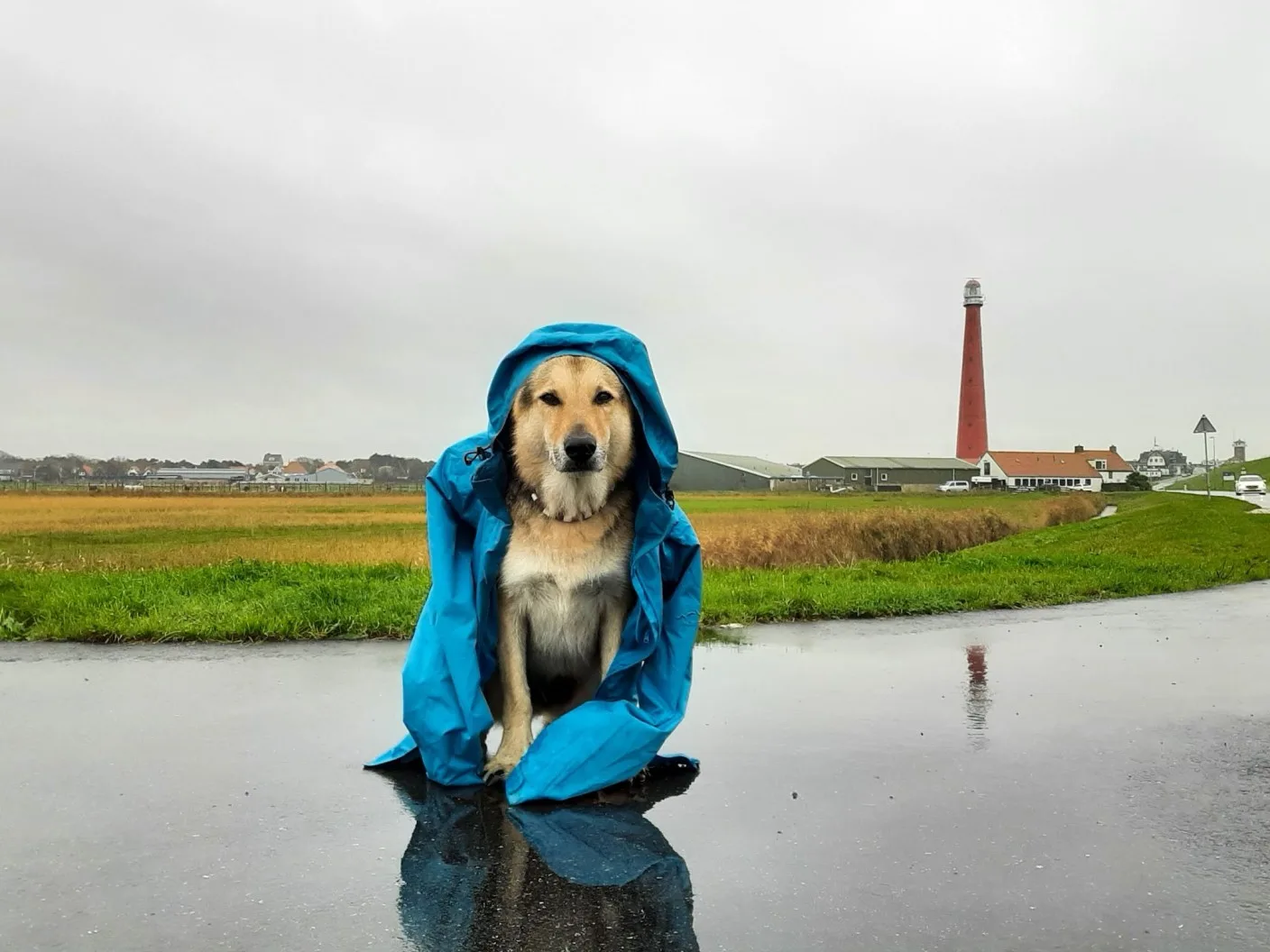 Het blijft nat, maar later deze week droger