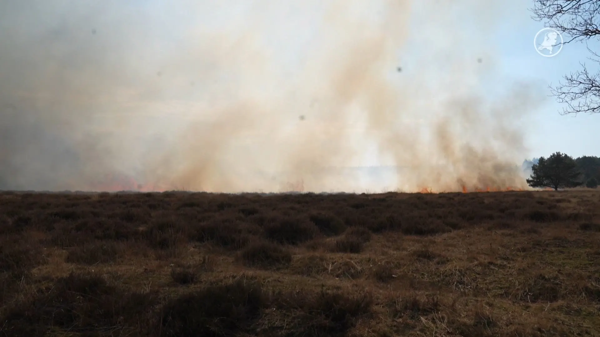 Belgische brandweer schiet te hulp bij zeer grote heidebrand Weert