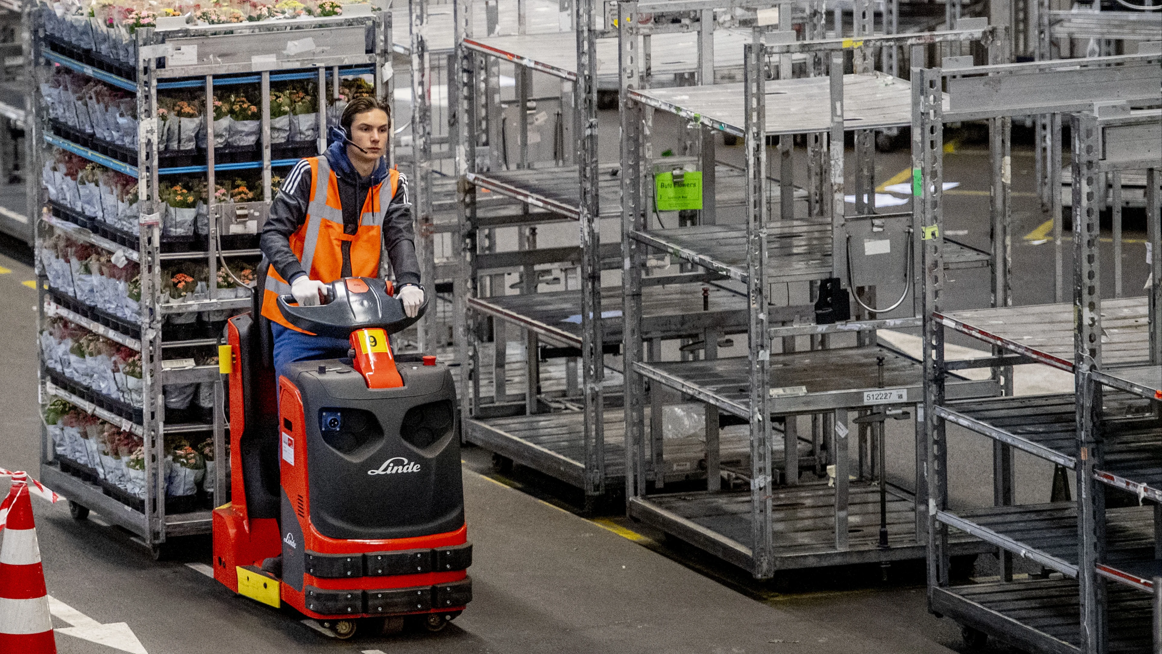 Veel minder bloemen door dure energie, kwekers beëindigen bedrijven