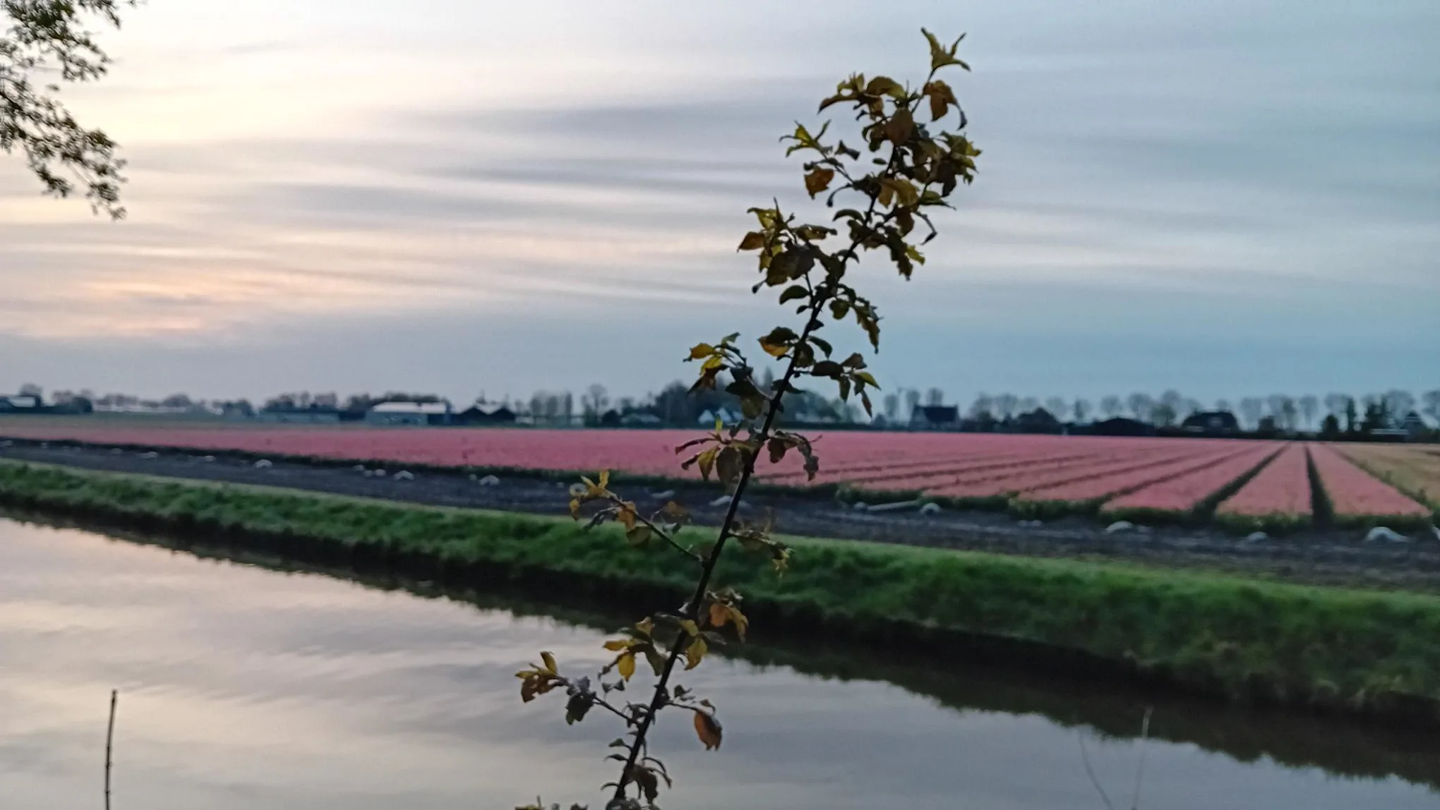 Lente in opmars: kwik stijgt richting 18 graden deze week