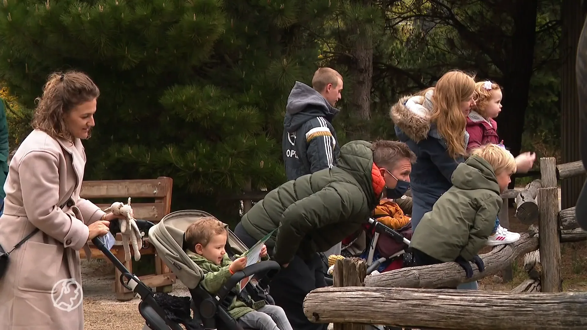 Diergaarde Blijdorp weer open voor 4000 bezoekers: 'Eindelijk weer de dieren bekijken'