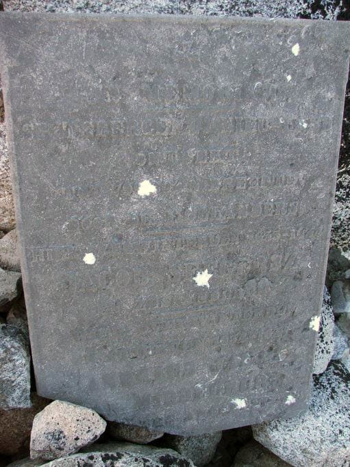 Expeditie naar poolgebied kan doorgaan: genoeg reizigers willen met Erik gedenksteen opknappen