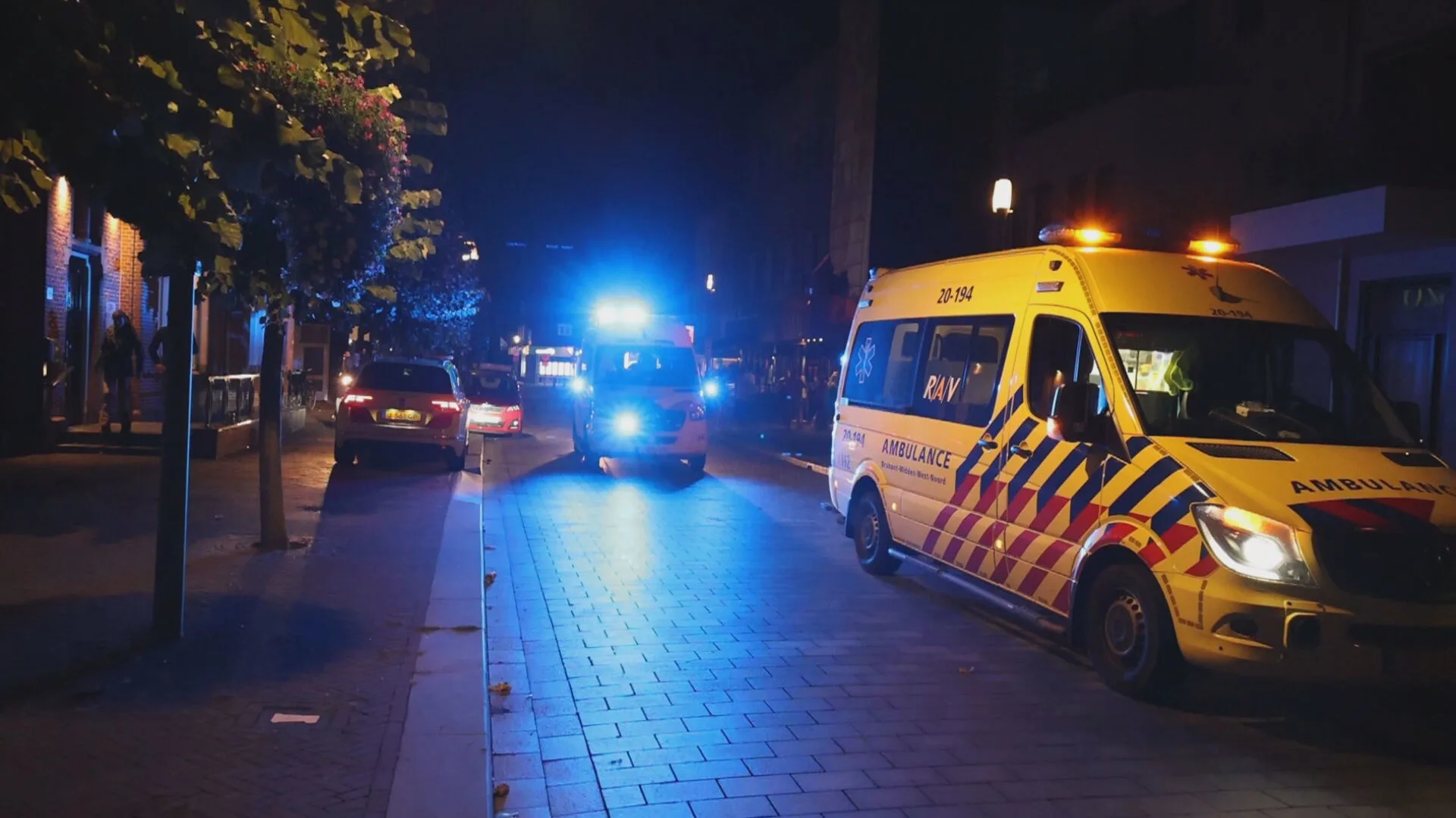 Man zwaargewond na val uit hoge boom in Waalwijk