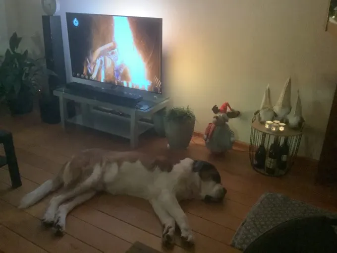 Het Haardvuur trending op social media: 'Heerlijk, en geen luchtvervuiling'