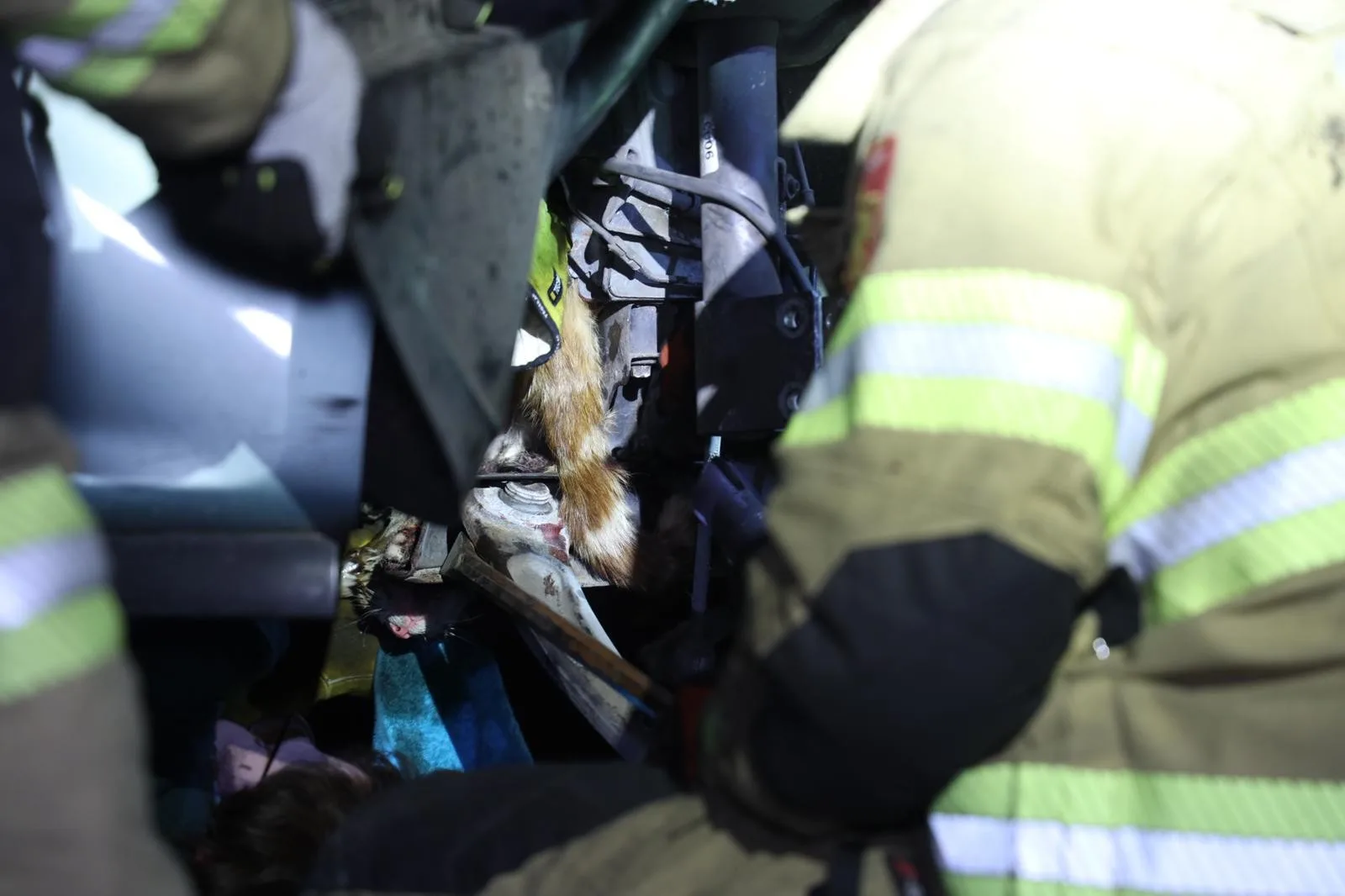 Kat zwaargewond vanonder motorkap geplukt in Arnhem