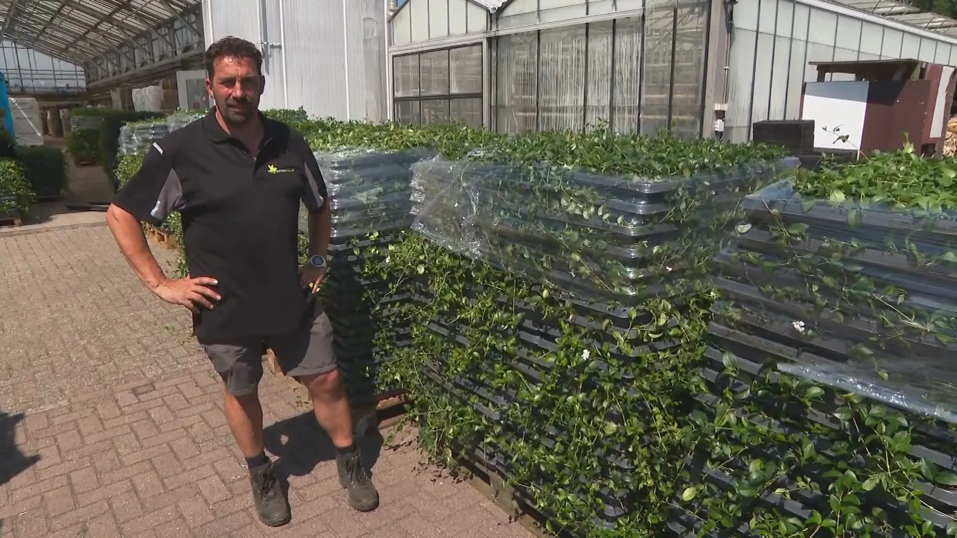 Megaklus: Dennis uit Emst verzorgt het groen tijdens Olympische Spelen in Parijs