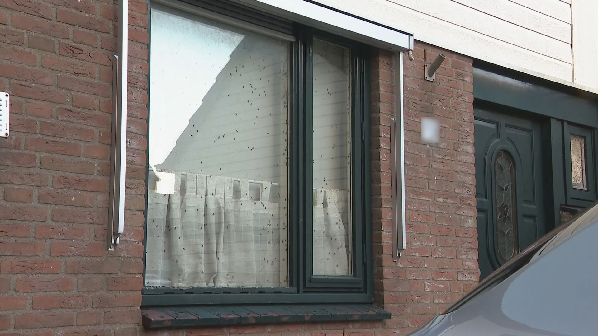 Buurman (53) ligt wekenlang dood in huis, buurt gebukt onder stank en vliegen