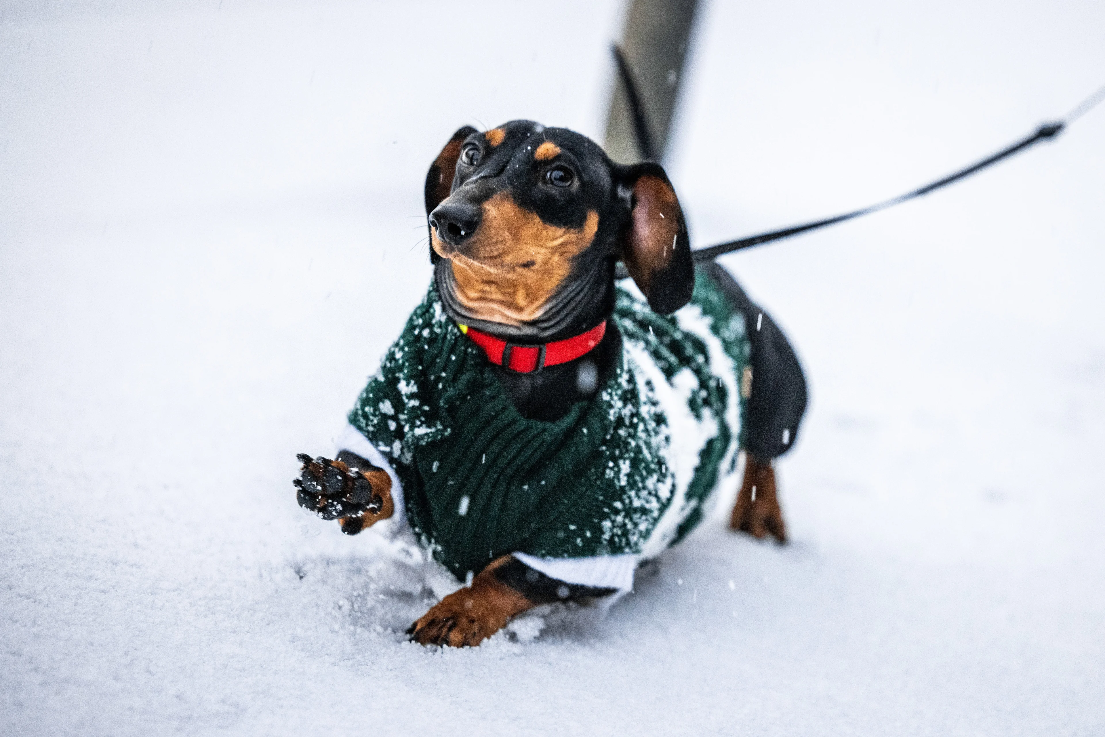 Code oranje om gladheid beëindigd, wel nog overal code geel